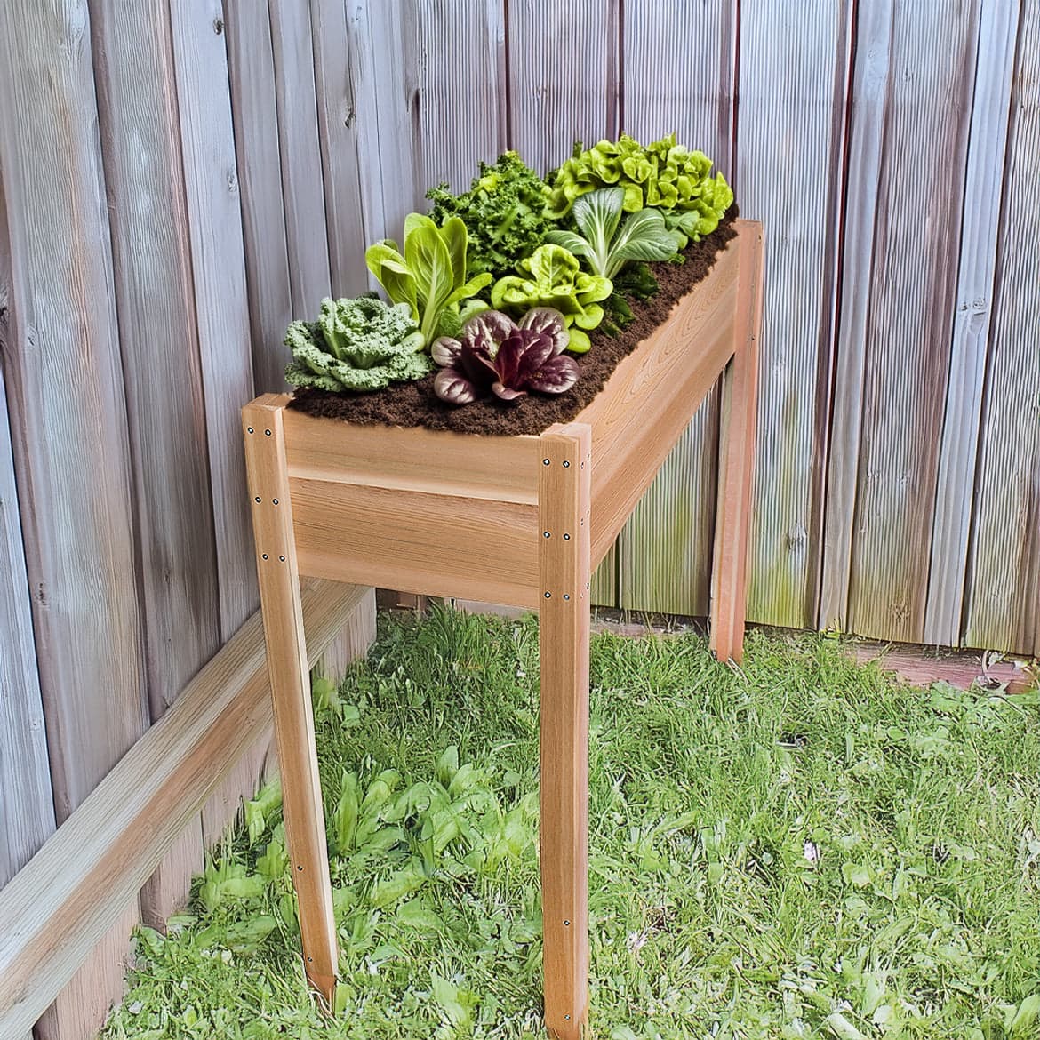 4-ft Cedar Planter Box with Legs RGL12 — product photograph