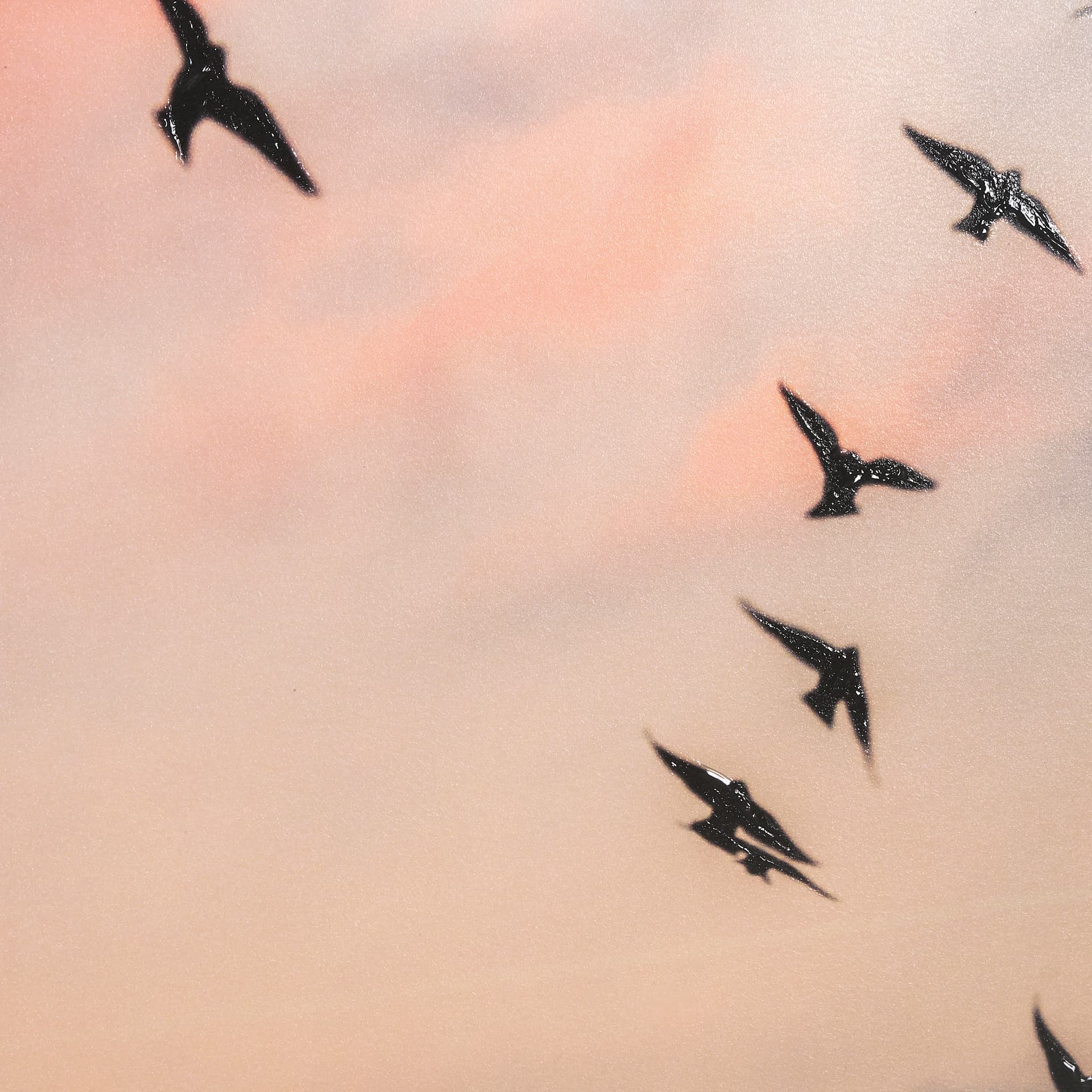 Evening Flight by Mercana Studio a Hand Embellished Textured Framed Photo Art Print Matted under Gla — product photograph