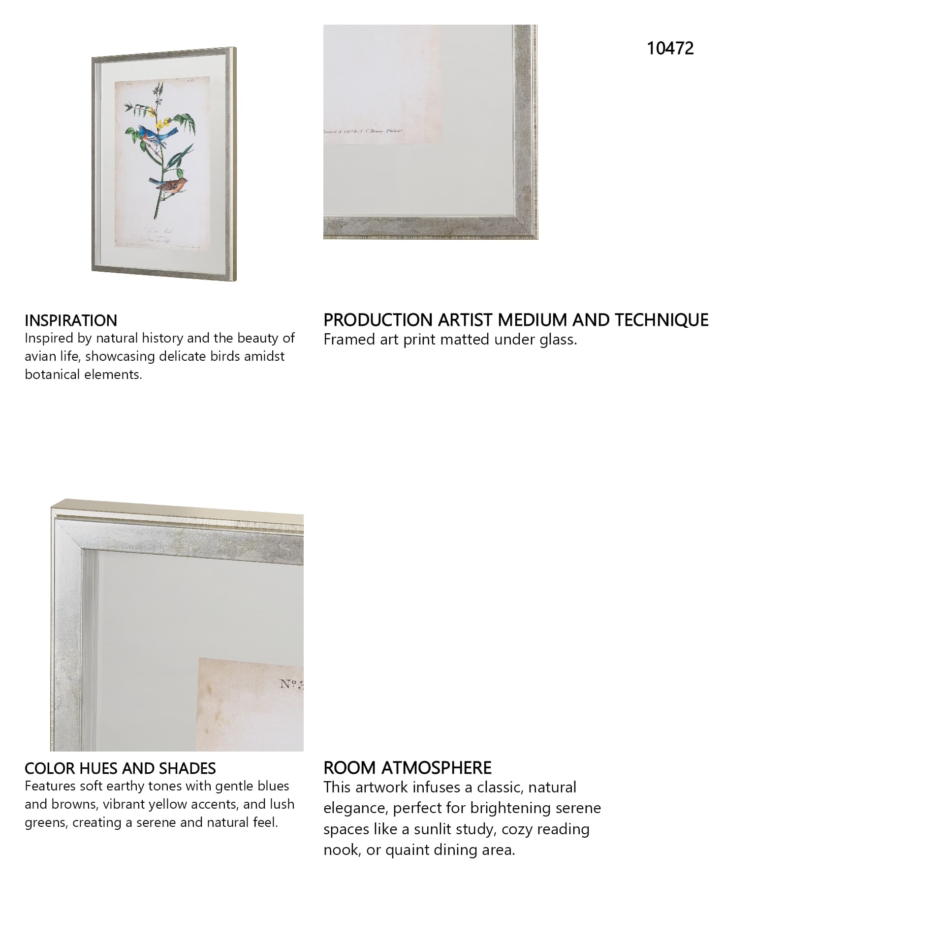 Delicate Bird and Botanical IV by John James Audubon a Framed Art Print Matted under Glass — in a styled room