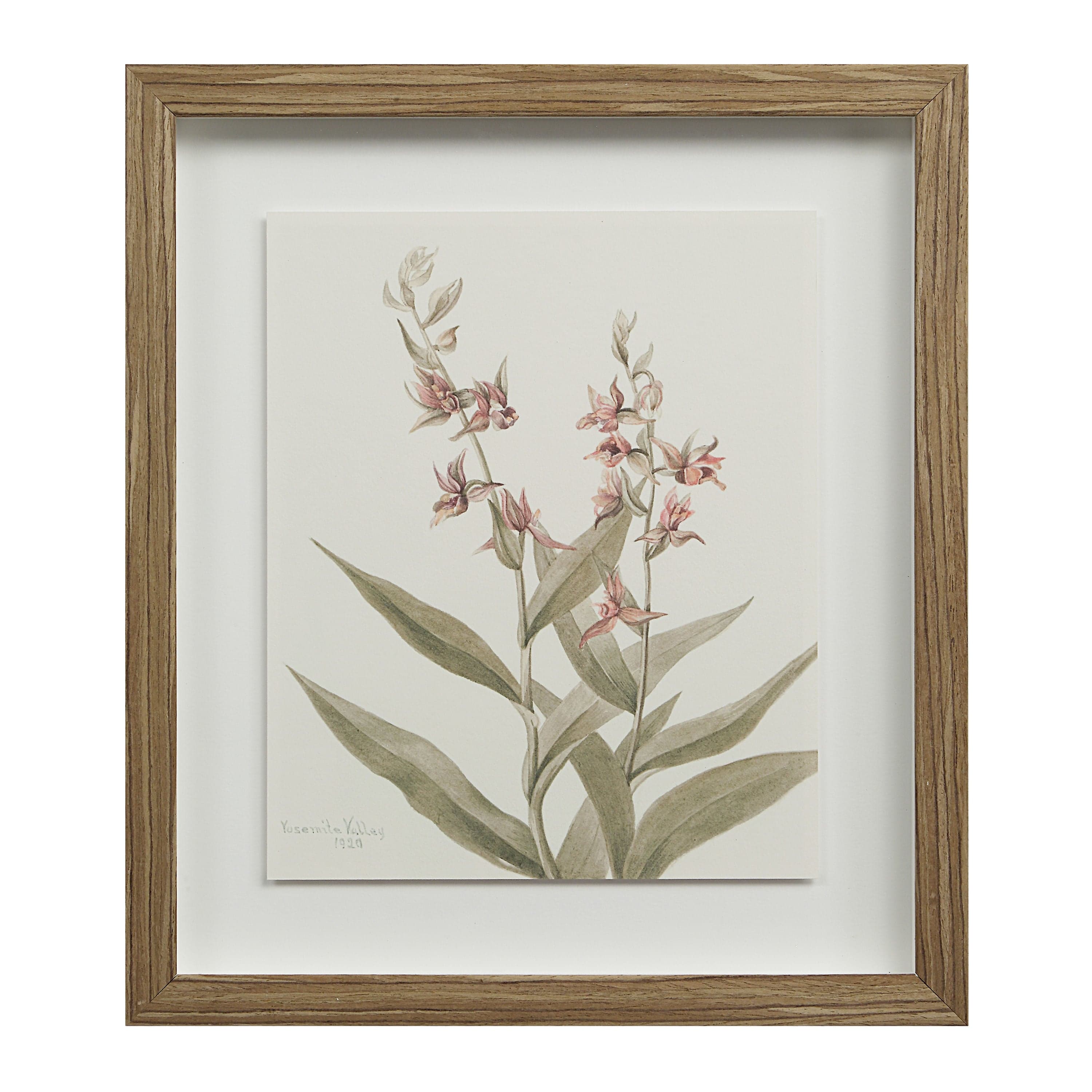 Crema — product photograph