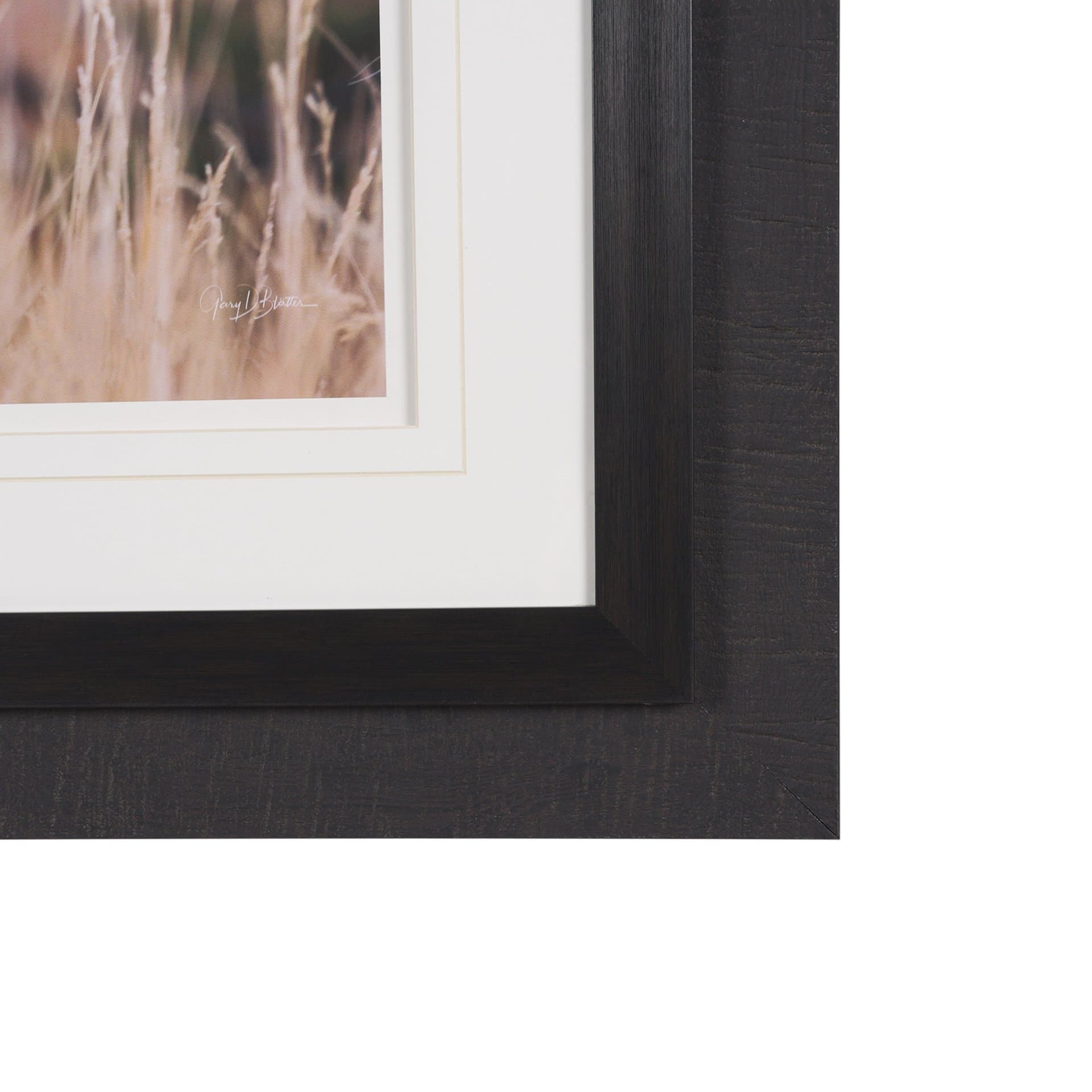 Stop Horsing Around by Gary Blatter Hand Embelished Framed Art Print Matted under Glass — product photograph