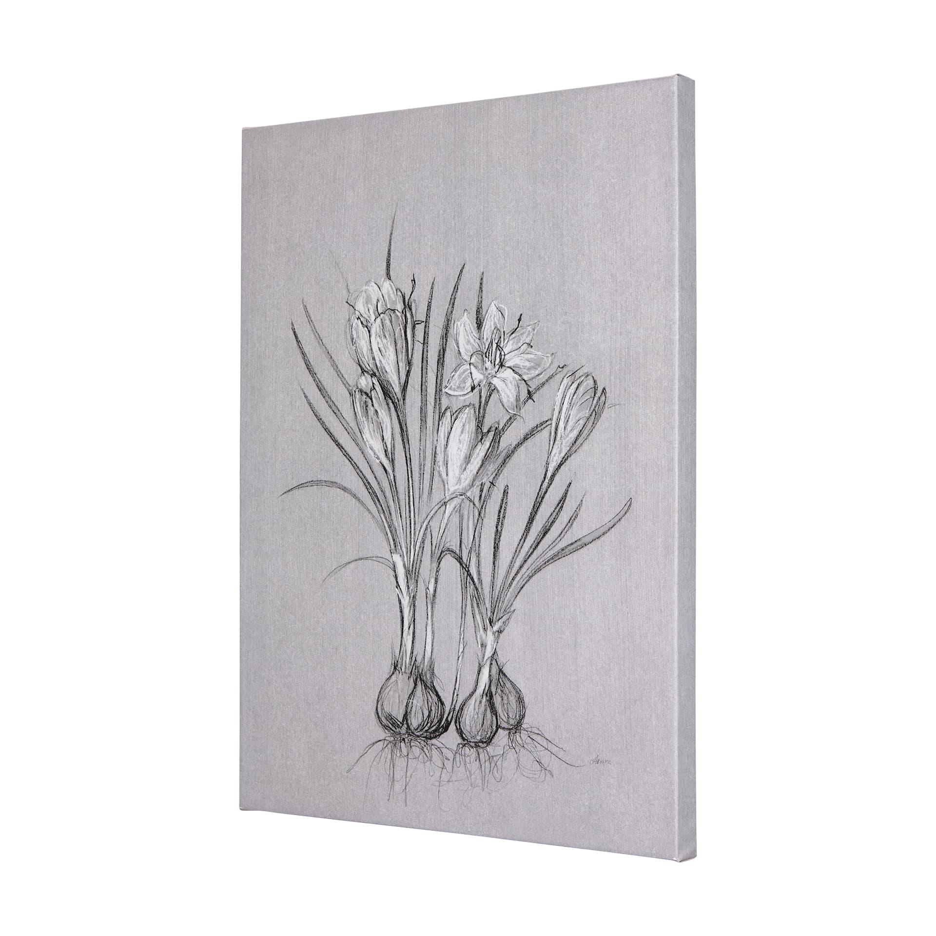 Botanical sketches V (Grey) by Mercana Studio a Hand Embellished Textured Canvas — product photograph