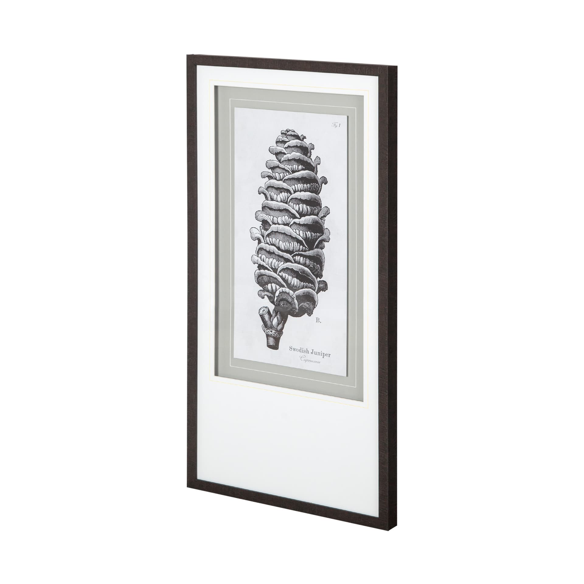 Swedish Juniper by Maria Mendez a Framed Art Print Matted under Glass — product photograph
