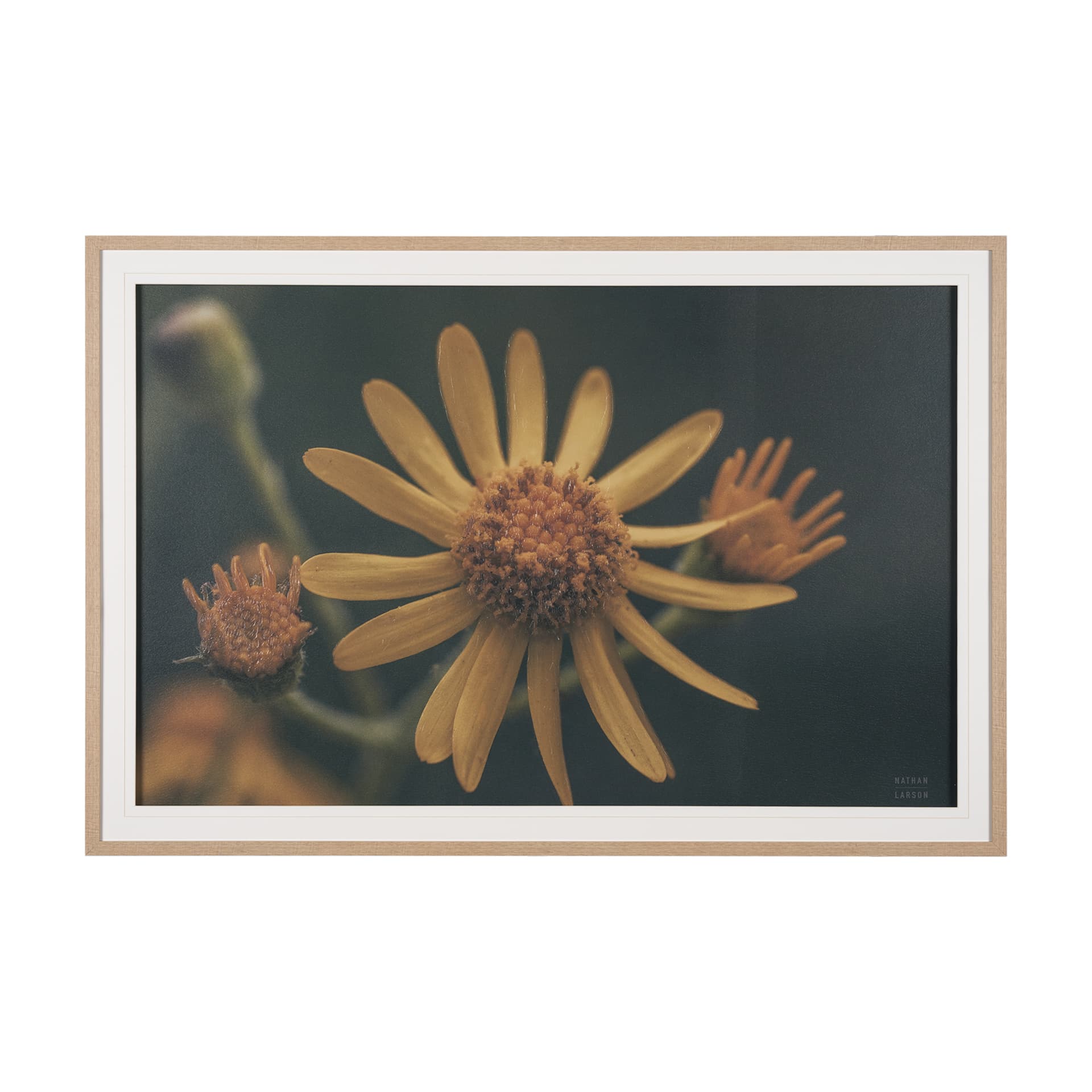 Wild Blooms II by Nathan Larson a Hand Embellished Framed Photo Art Print Matted under Glass — product photograph