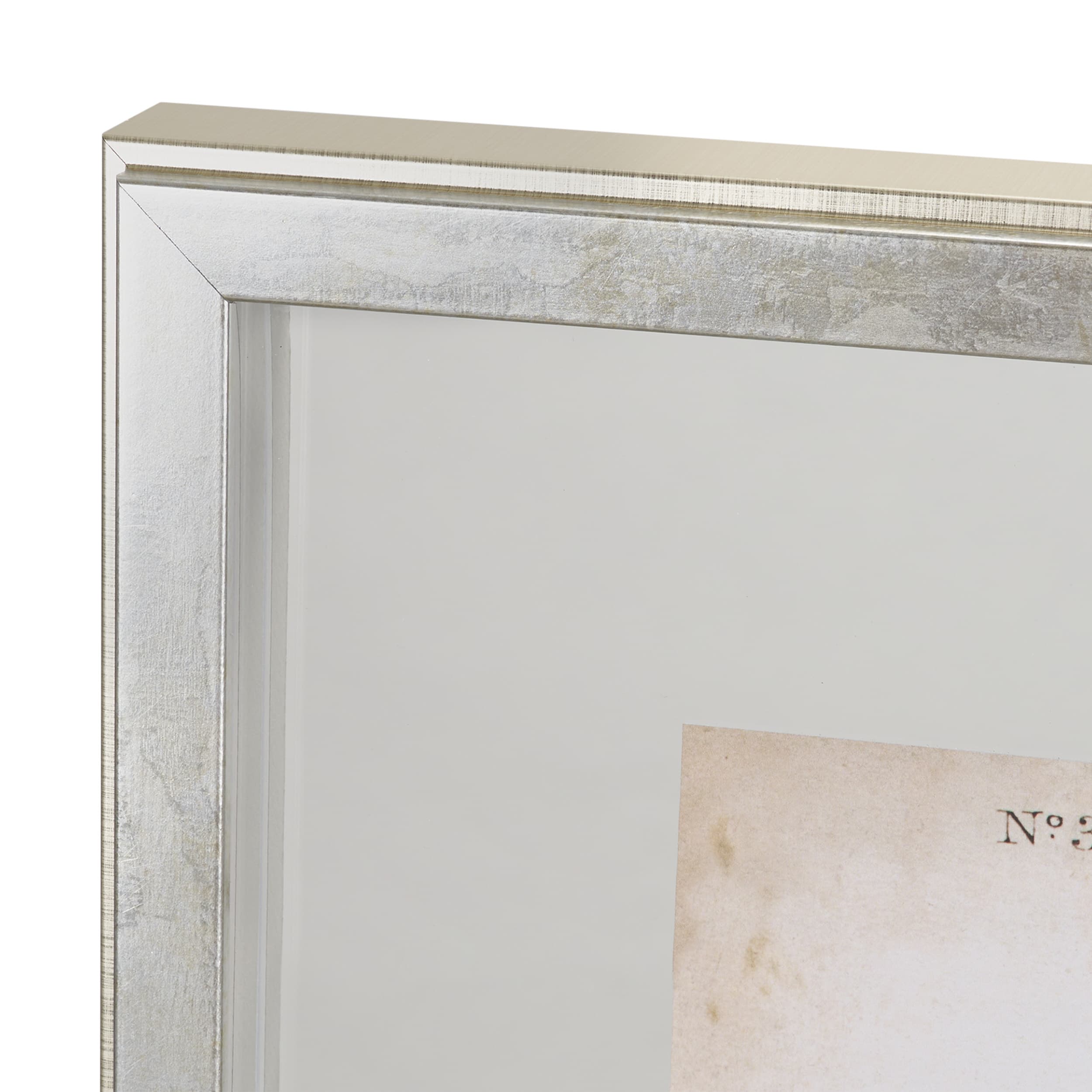 Delicate Bird and Botanical IV by John James Audubon a Framed Art Print Matted under Glass — product photograph