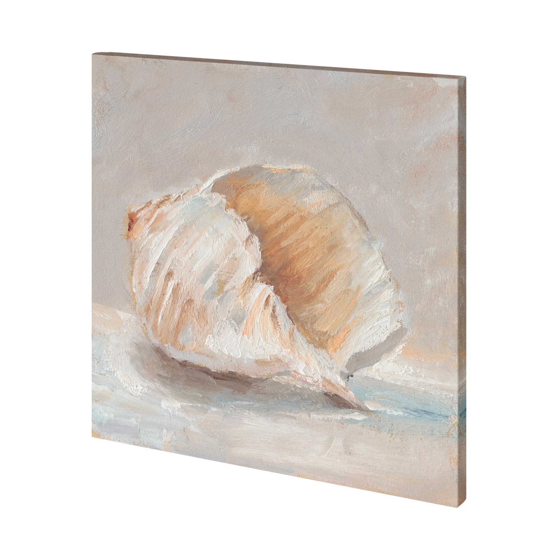 Impressionist Shell Study IV by Mercana Studio a Hand Embellished Textured Canvas — product photograph