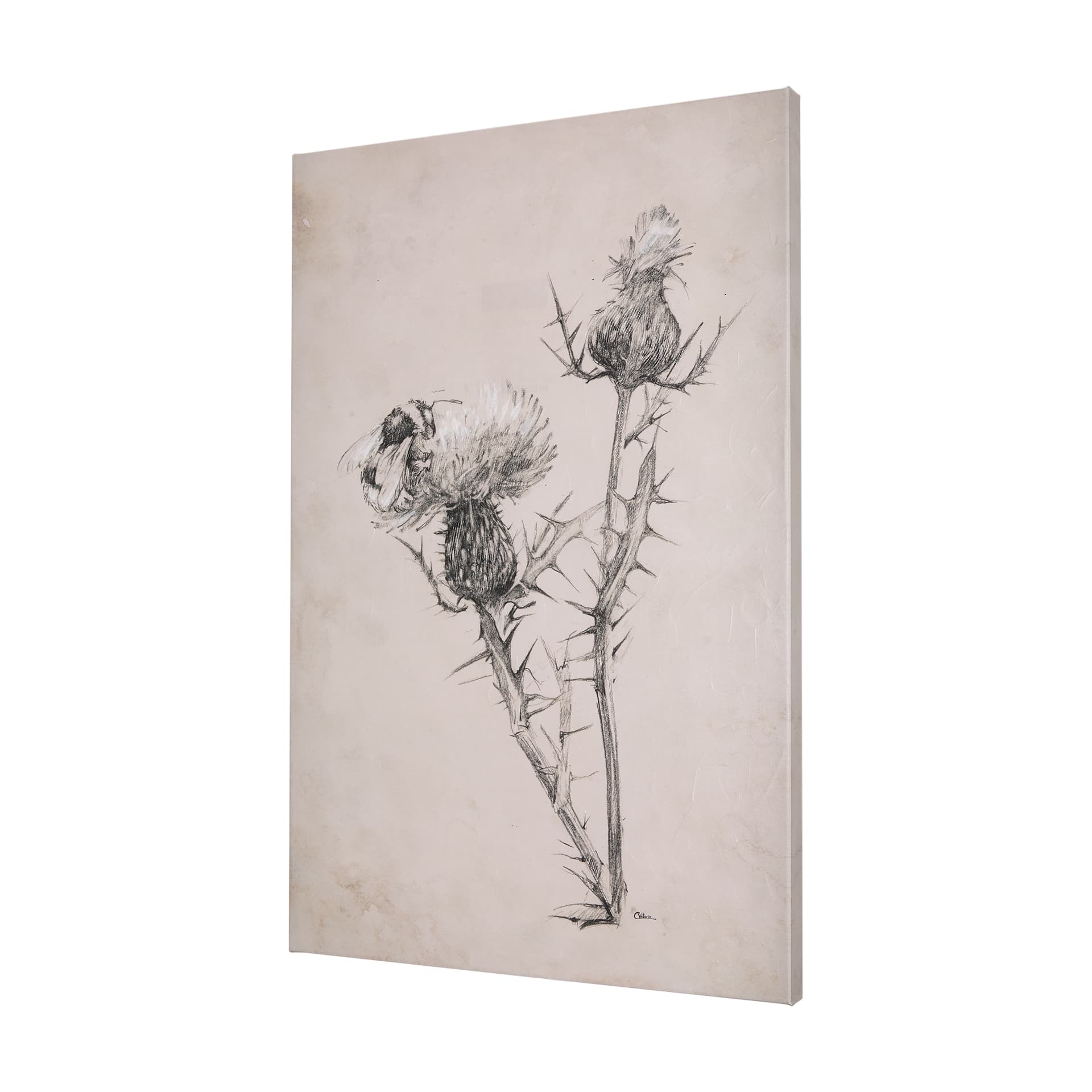 Thistle With Bumblebee Drawing IV by Mercana Studio a Hand Embellished Textured Canvas — product photograph