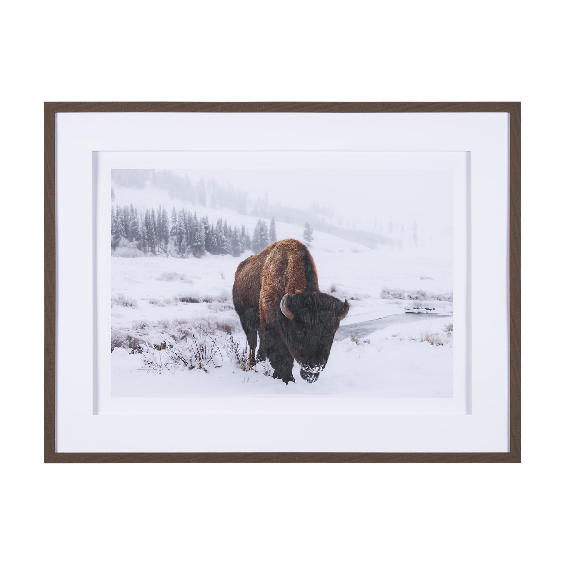 Winter in Paradise by Gary Blatter a Hand Embellished Textured Framed Photo Art Print Matted under G — product photograph