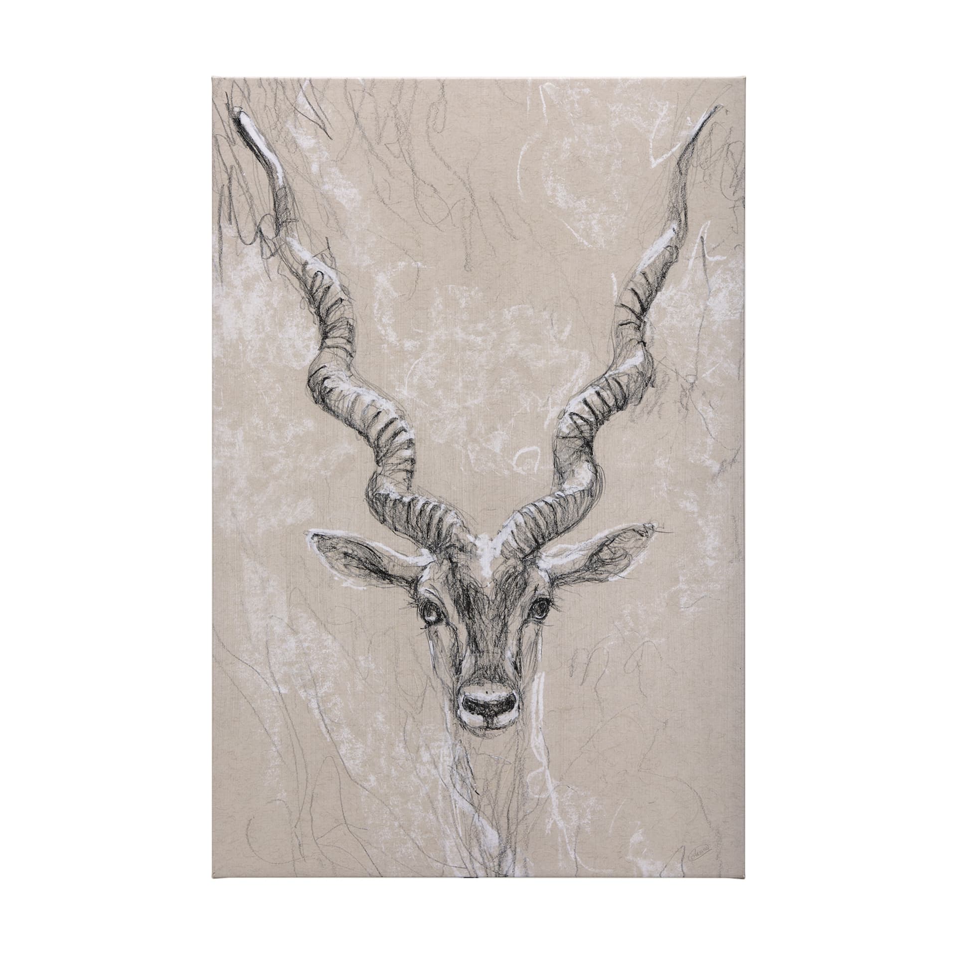 Sketch of animal III (Antelope) by Mercana Studio a Hand Embellished Textured Canvas — product photograph