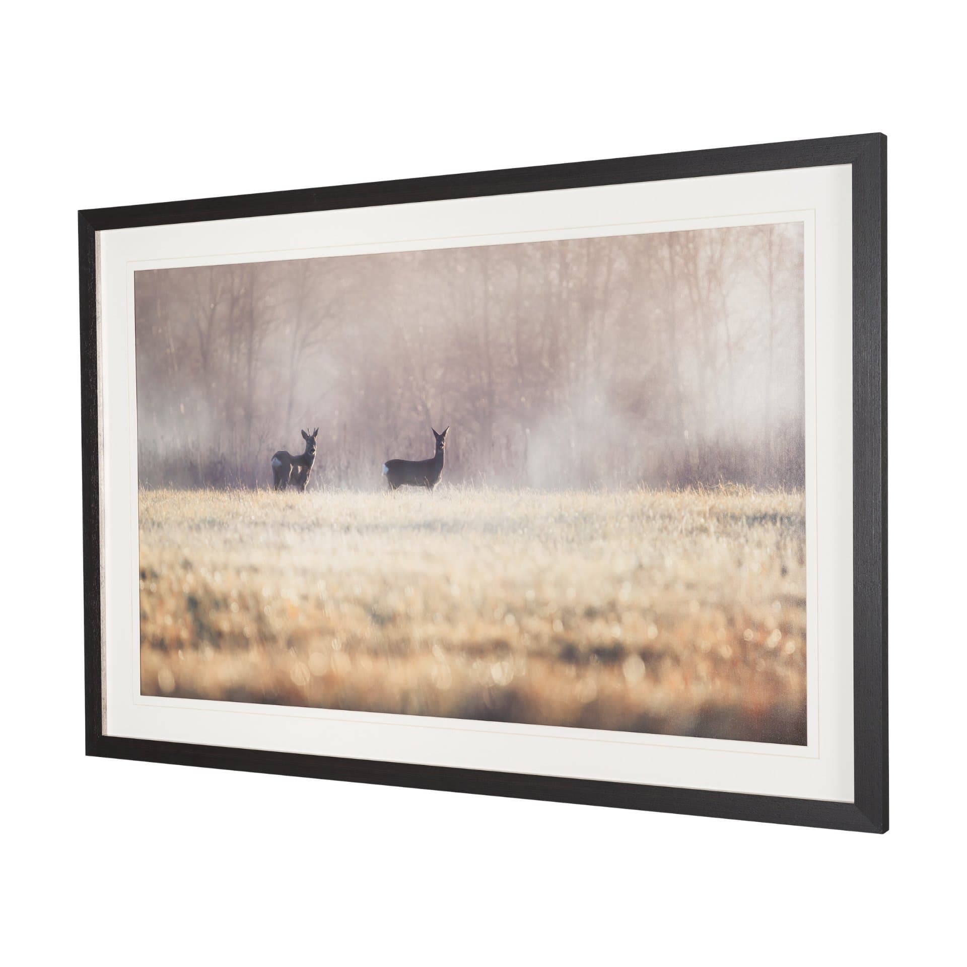 Distant Duo by Andreas Stridsberg Framed Photo Print Matted under Glass — product photograph