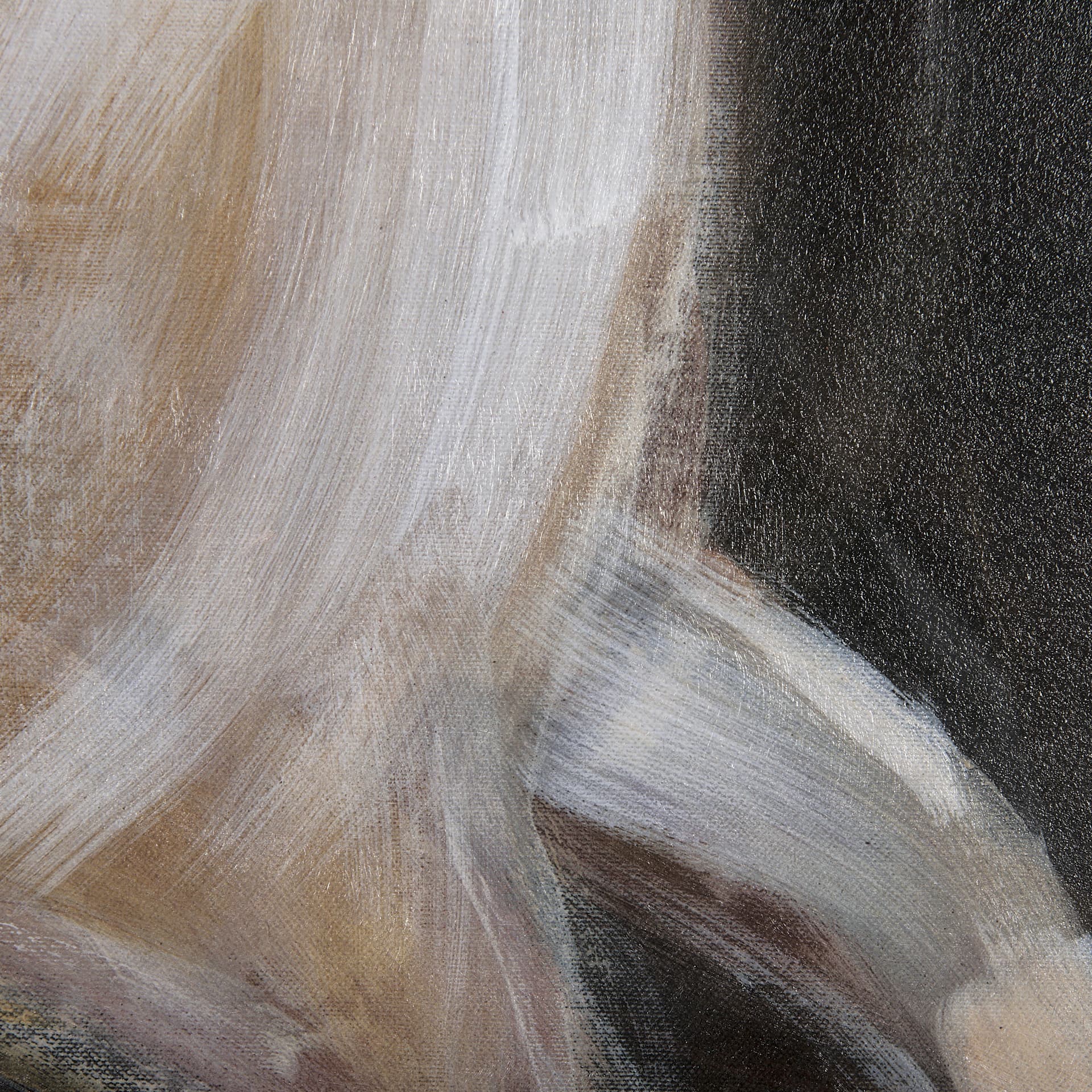 Running Wild - Speed by Mercana Studio Hand Embellished Textured Framed Art Print Matted under Glass — product photograph