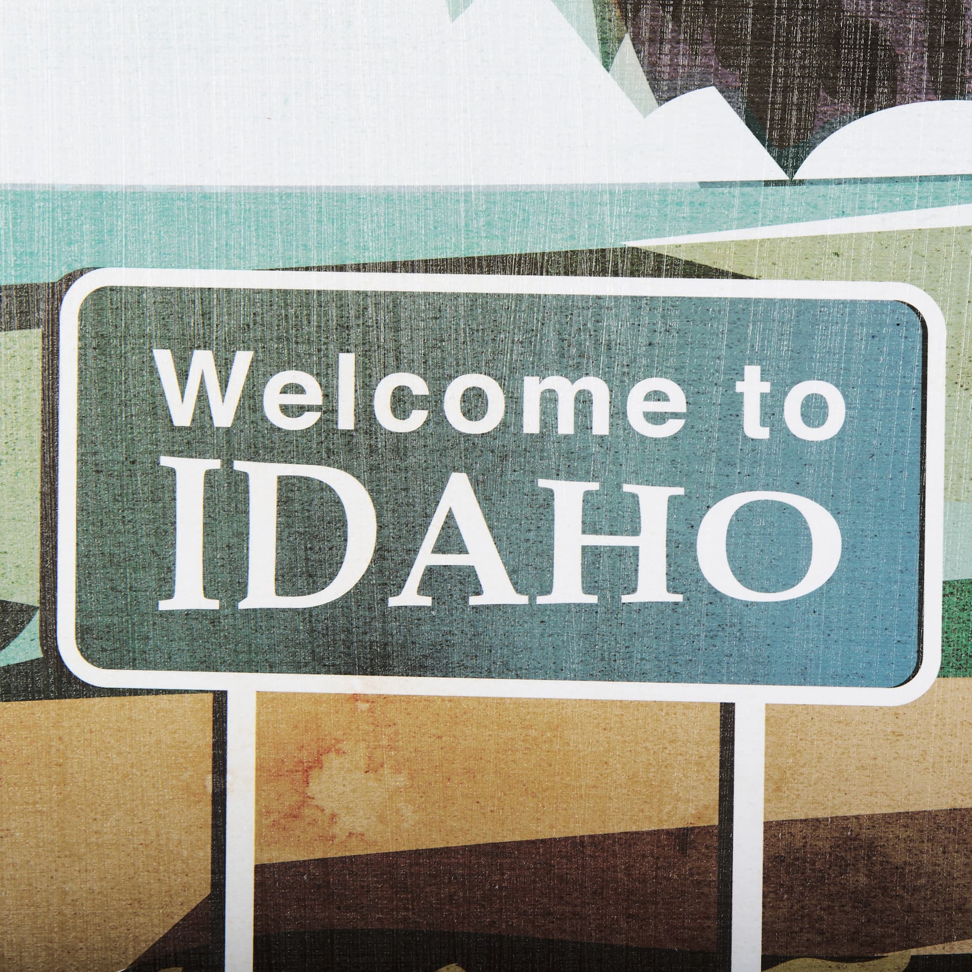 Idaho Go USA (L) by Mercana Studio a Hand Embellished Decograph Framed Art Print — product photograph