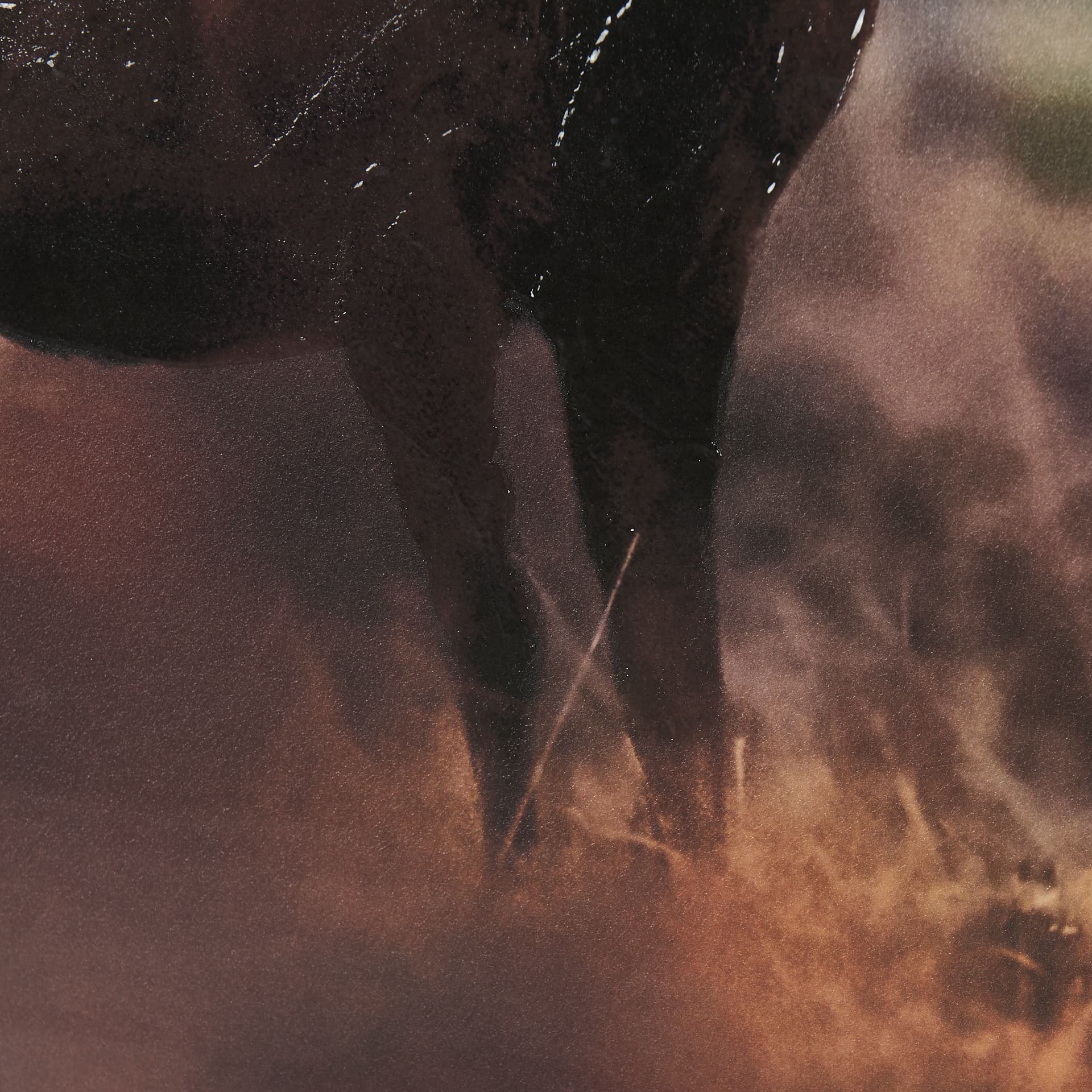 Glorious Stag by Mercana Studio a Hand Embellished Textured Framed Photo Art Print Matted under Glas — product photograph