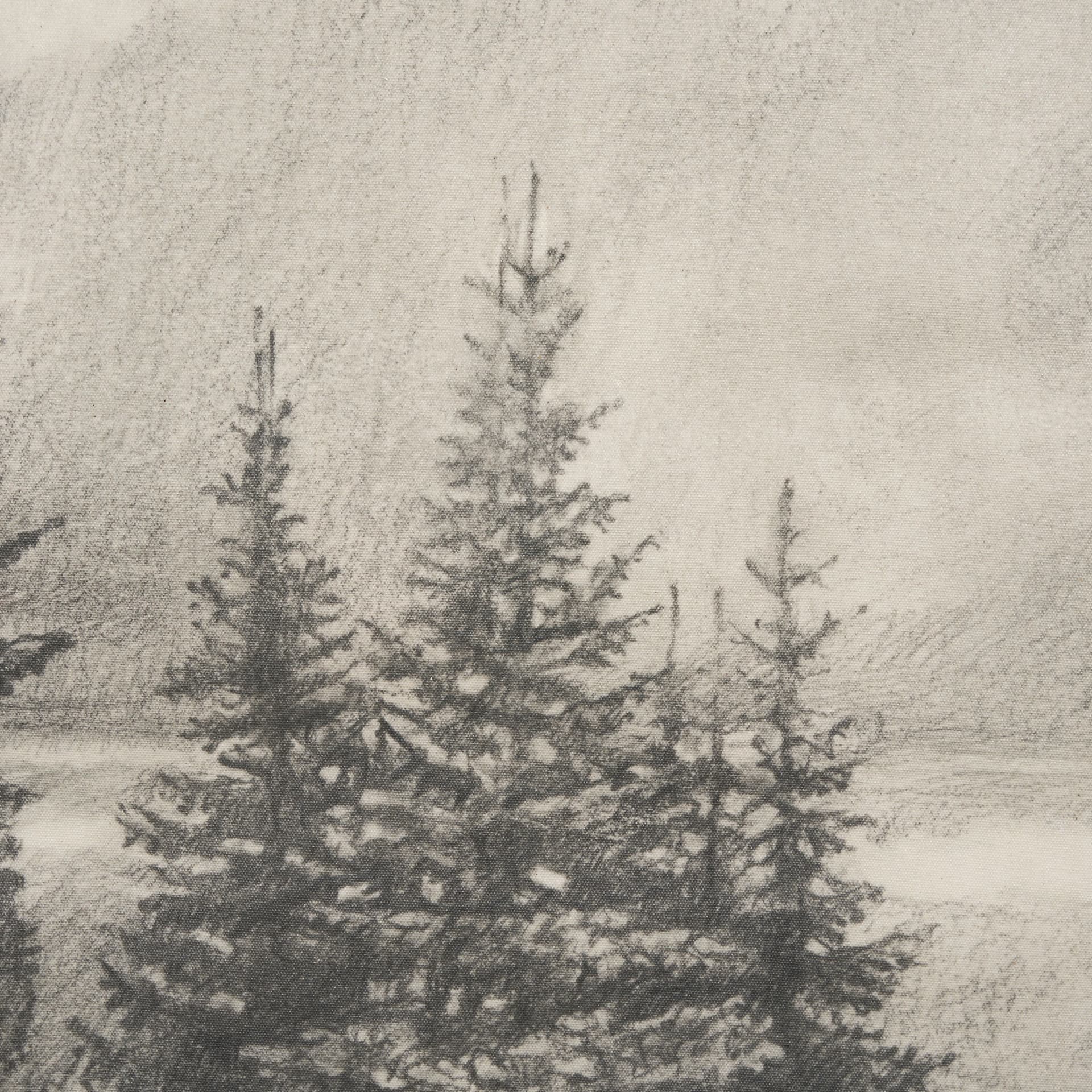 Northern Forest I by Mercana Studio a Hand Embelished Textured Framed Art Print — product photograph