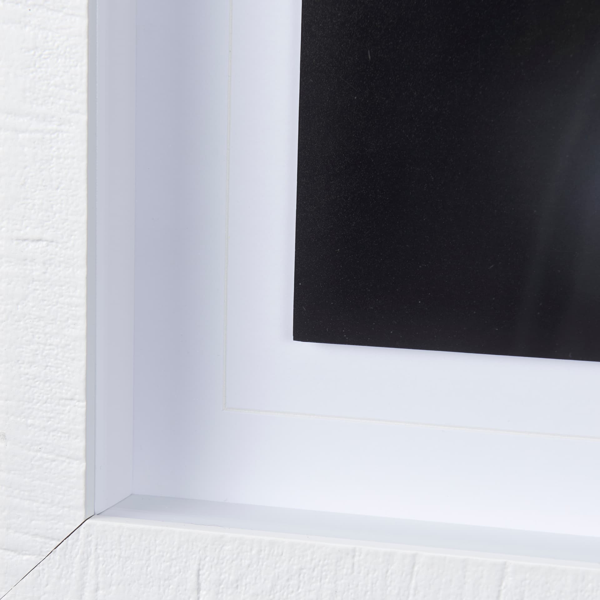 Honey Bee by Chad Mackay a Framed Photo Art Print Matted under Glass — product photograph
