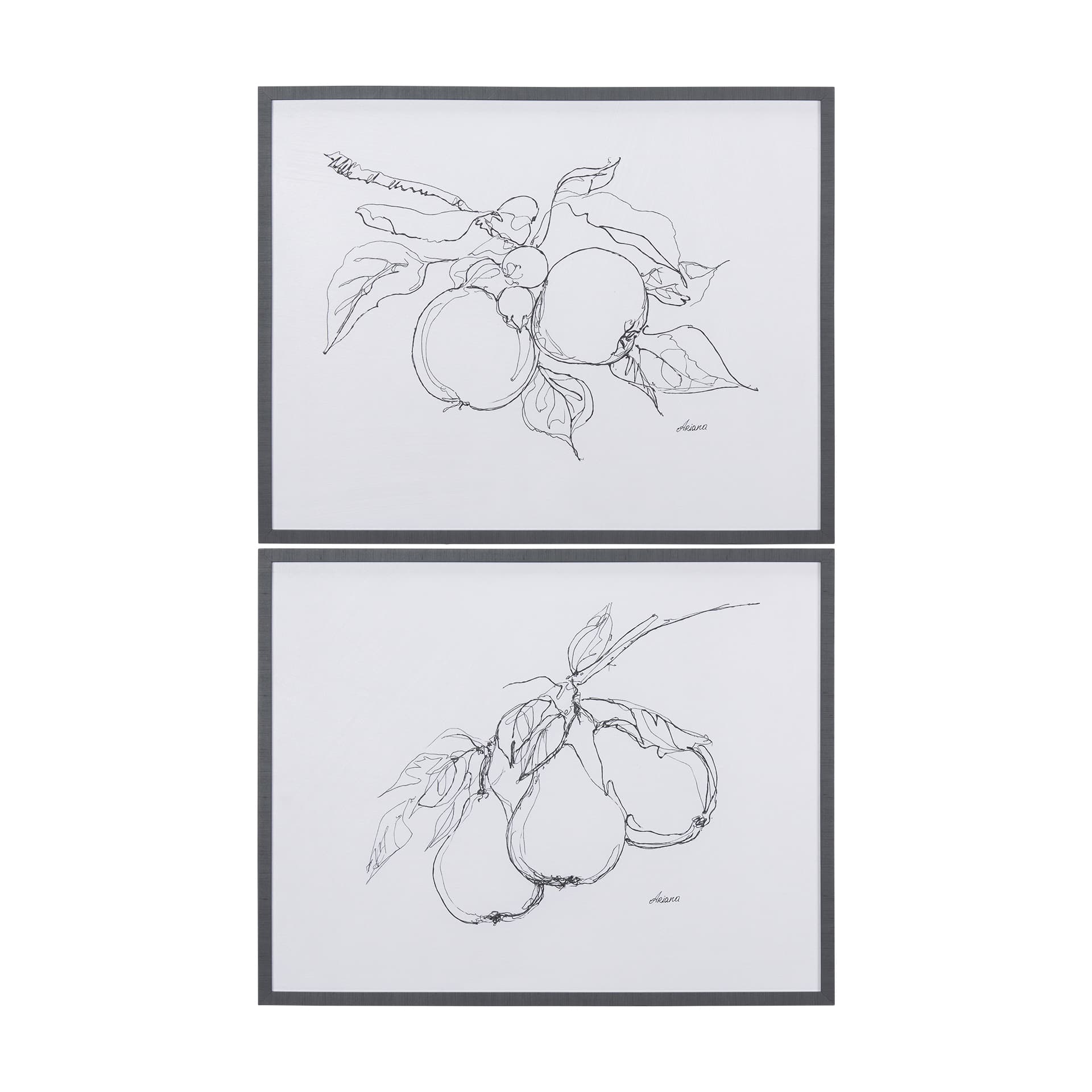 Fruit Sketch Pear by Mercana Studio a Hand Embellished Textured Framed Art Print — product photograph