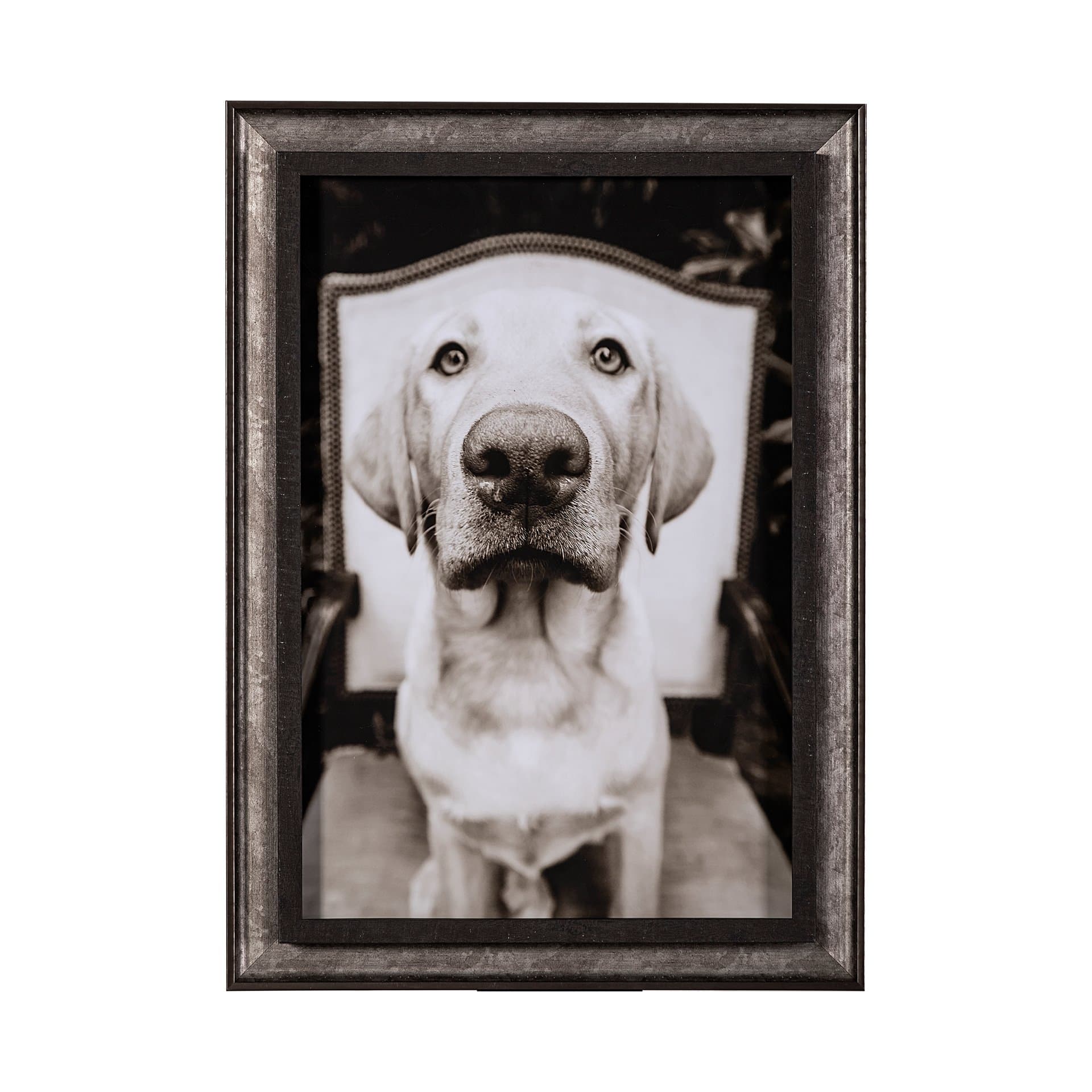 Sitting by Jim Drafield a Hand Embellished Textured Framed Photo Art Print — product photograph