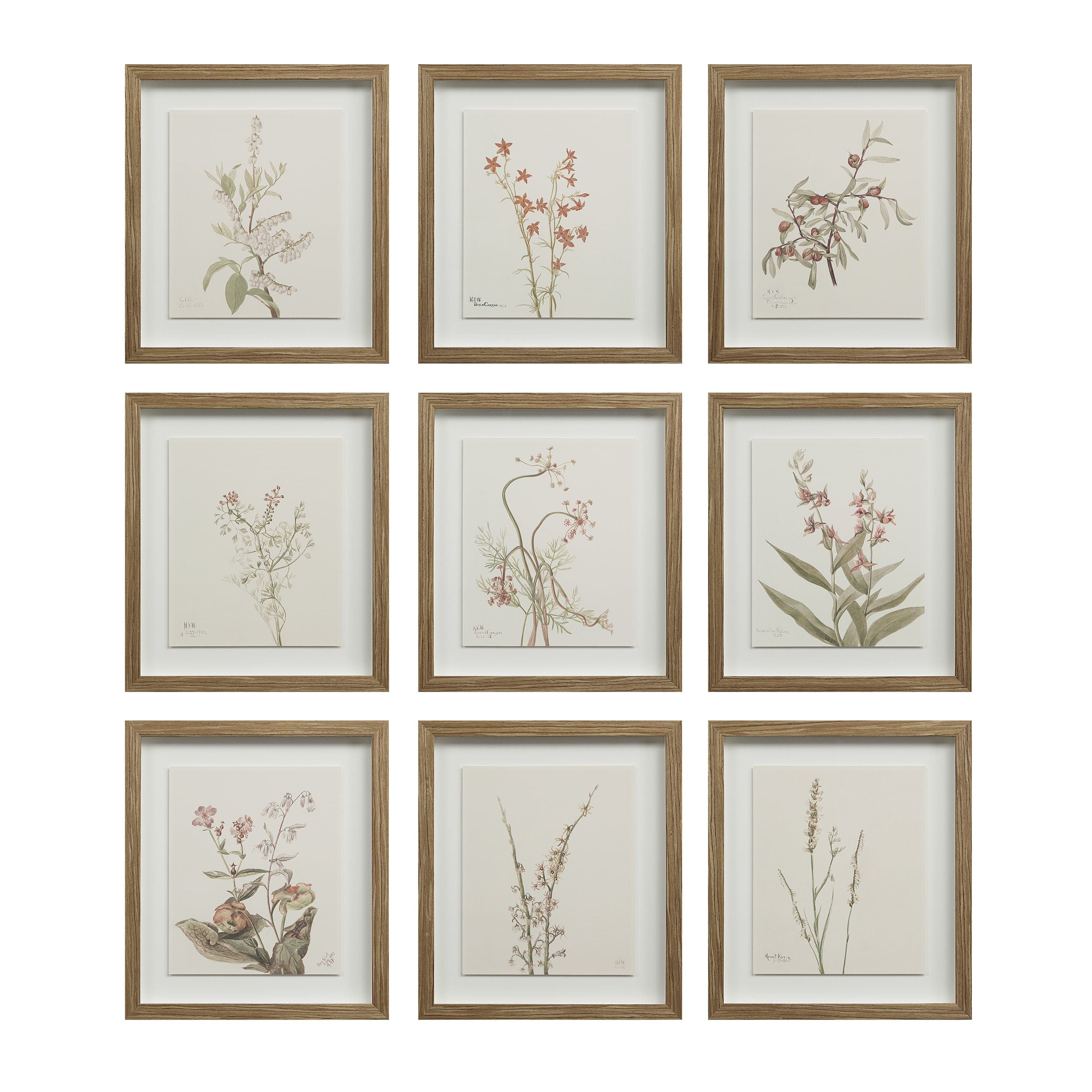 Crema — product photograph