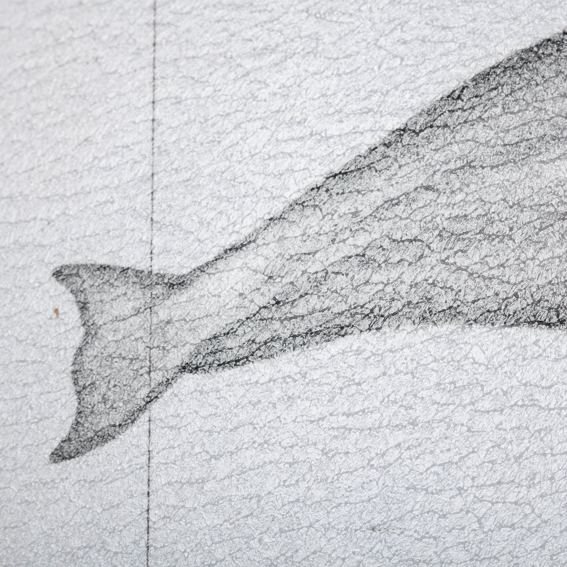 Bowhead Whale by Mercana Studio a Hand Embellished Textured Framed Art Print — product photograph