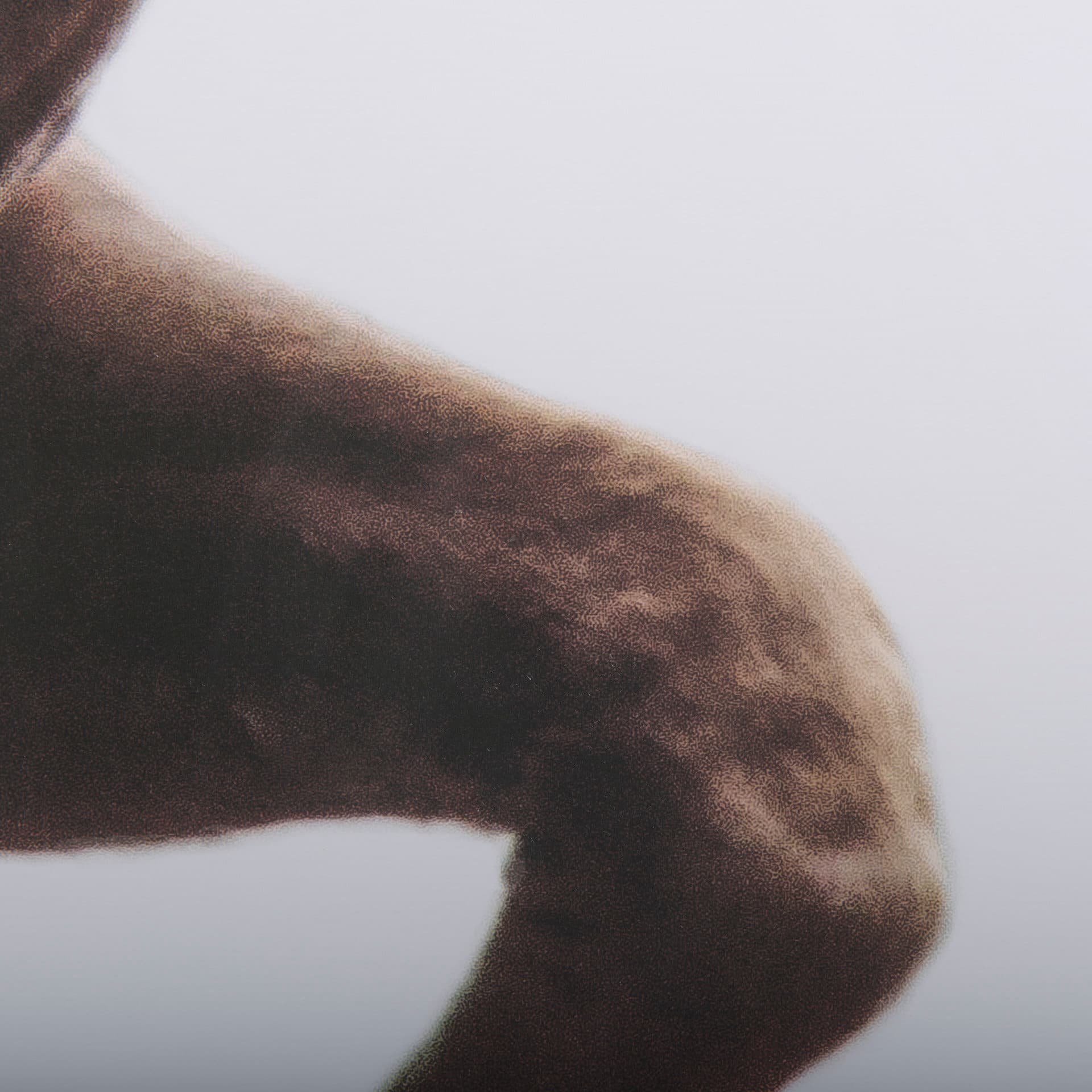 Bold Equine - Run by Mercana Studio a Hand Embellished Textured Framed Photo Art Print Matted under — product photograph