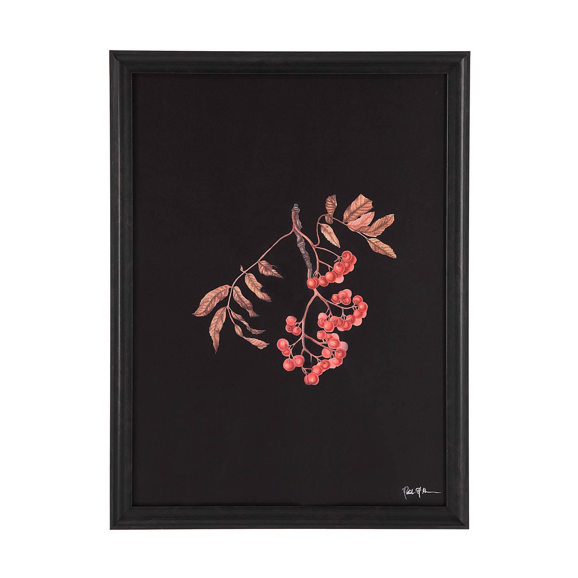 Wallflower — product photograph