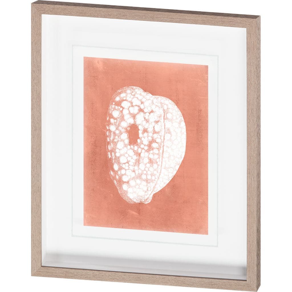 Sealife on Coral III by Vision Studio Hand Embellished Textured Framed Art Print Matted under Glass — product photograph