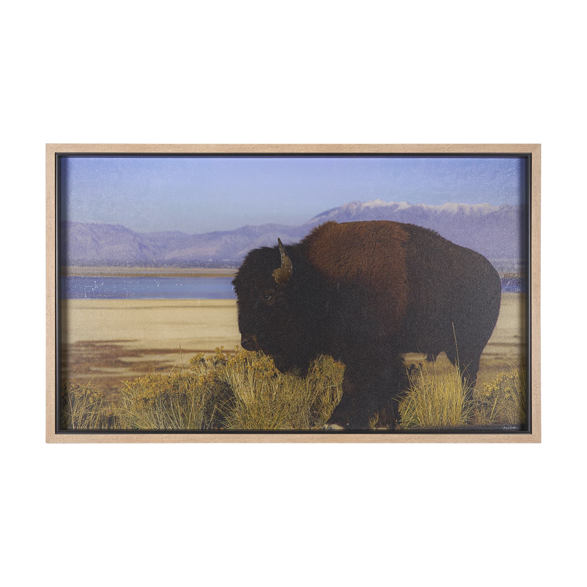 Antelope Island by Gary Blatter a Hand Embellished Textured Framed Photo Art Print — product photograph