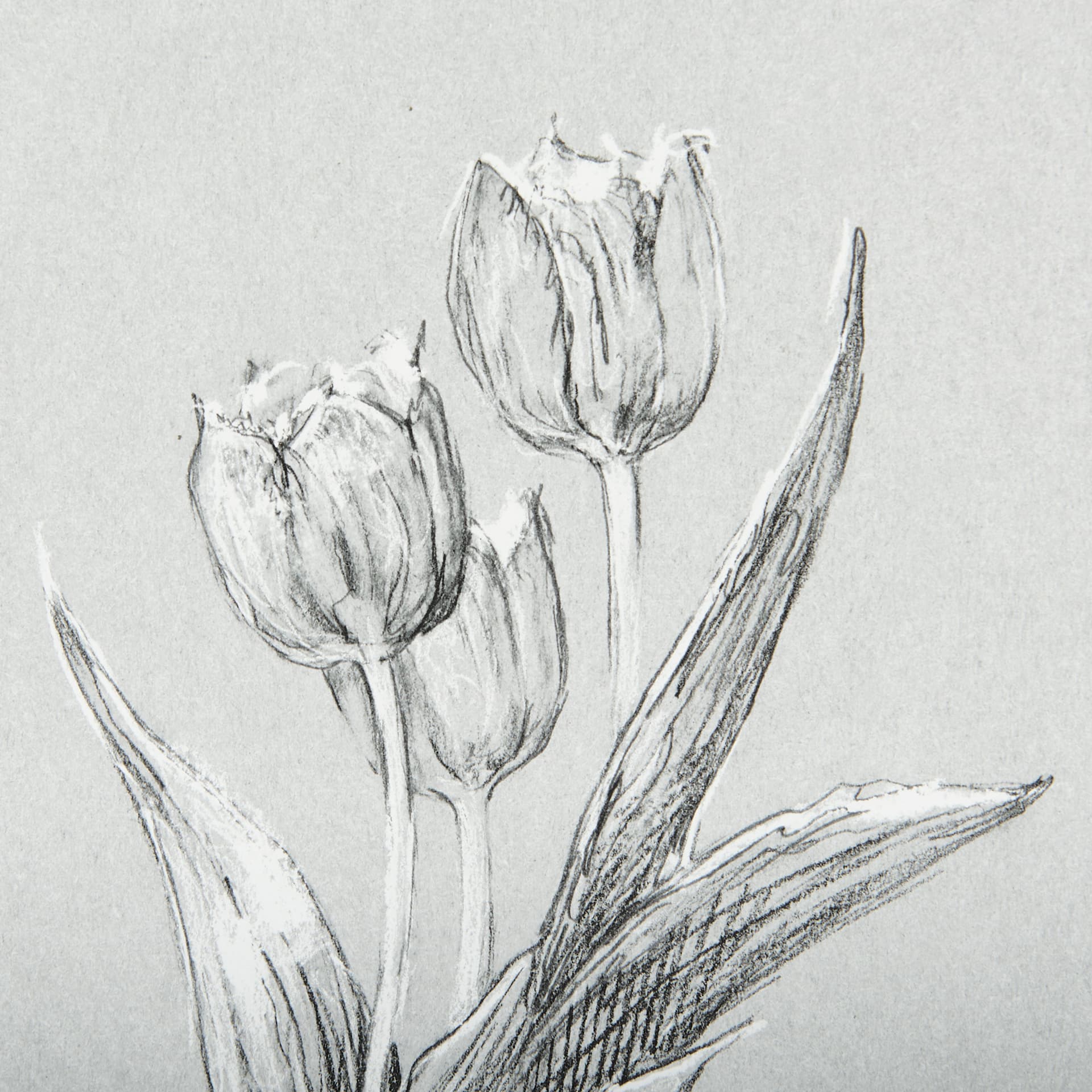 Botanical sketches I (Grey) by Mercana Studio Hand Embellished Framed Art Print Matted under Glass — product photograph