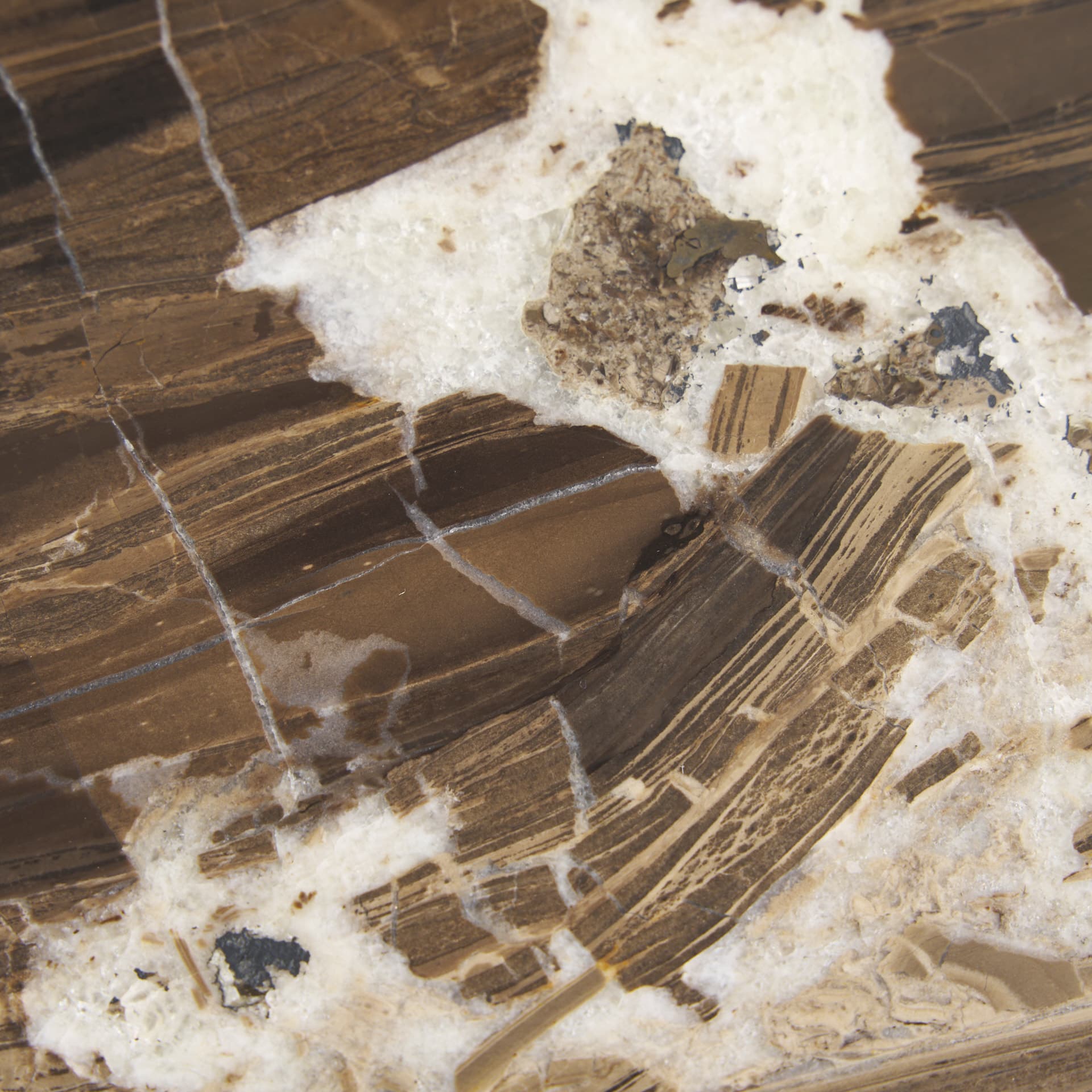 Jovia Brown Mango Wood W/ Cappuccino Marble Round Coffee Table — product photograph