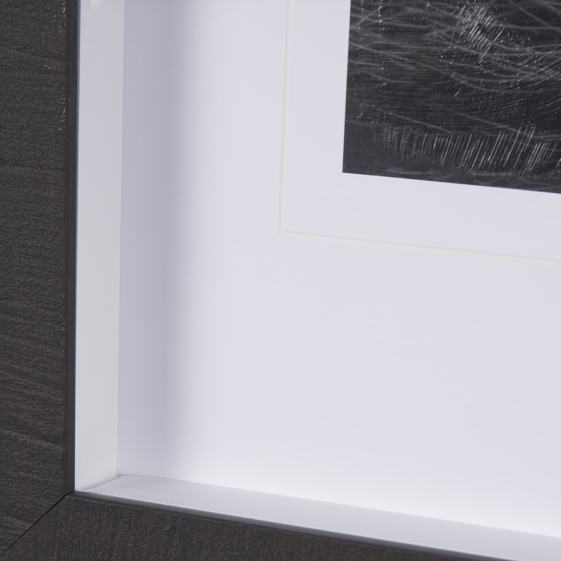 Porcupine Visit by Chad Mackay a Hand Embellished Framed Photo Art Print Matted under Glass — product photograph