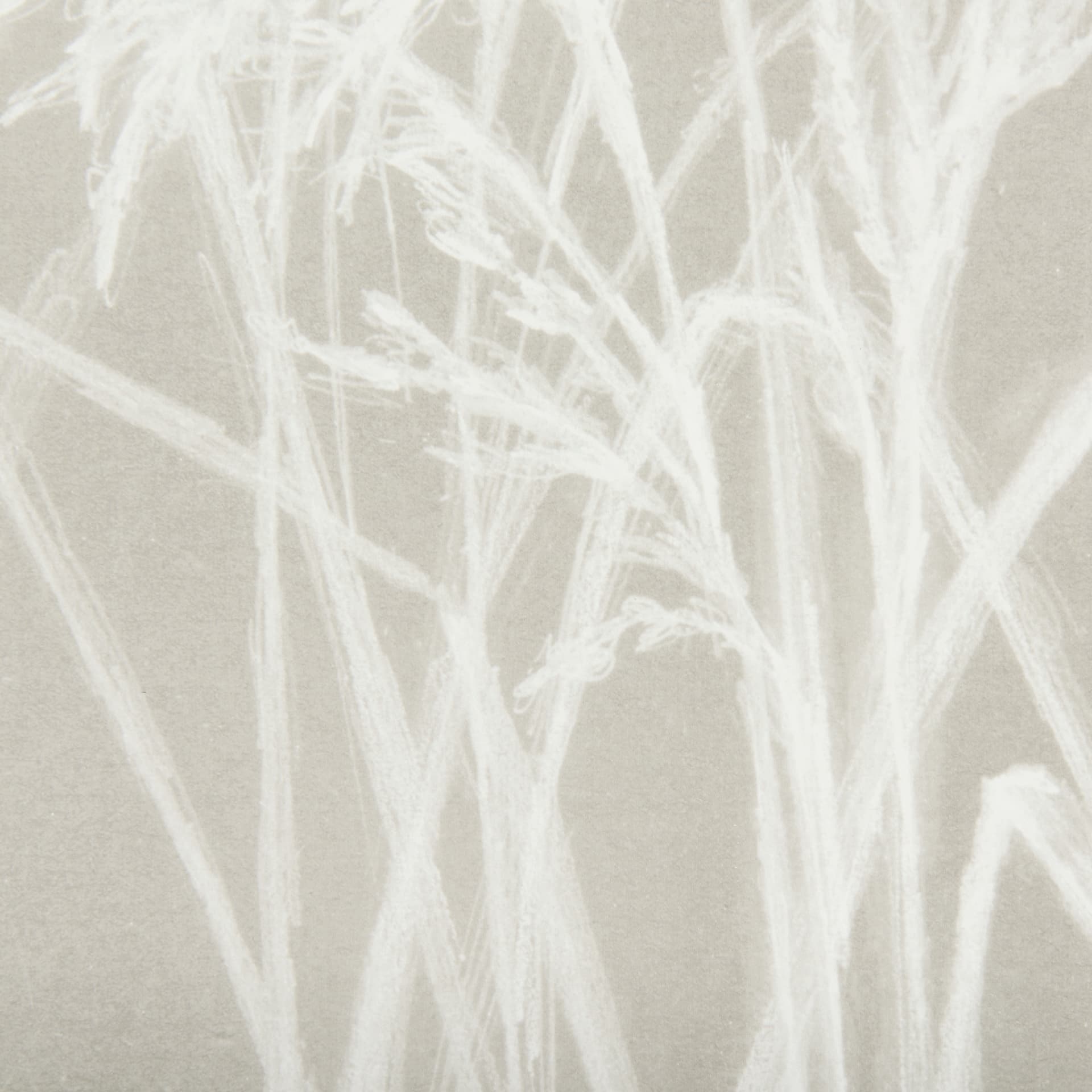 Growing Along The River IV by Mercana Studio Framed Matted under Glass — product photograph