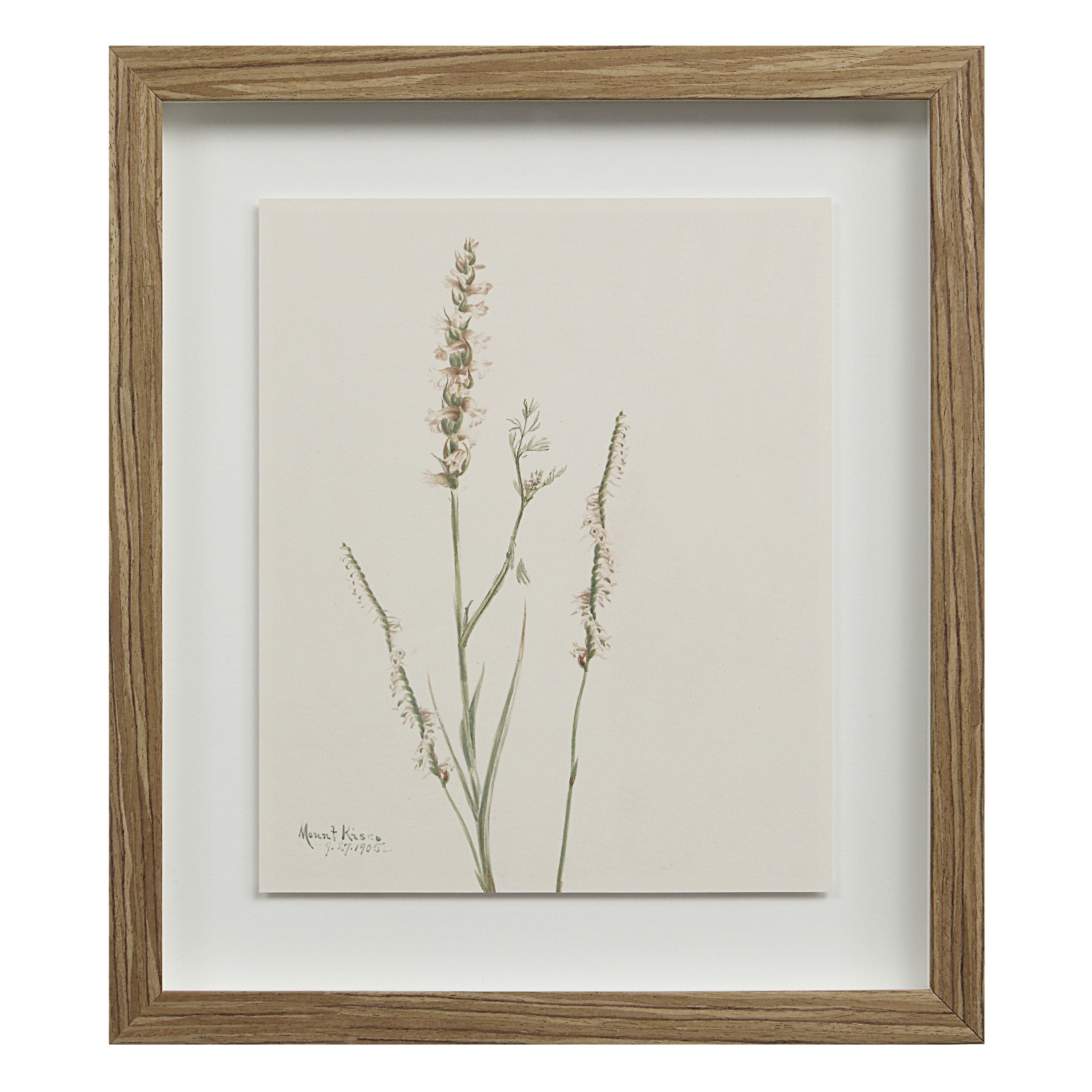Crema — product photograph