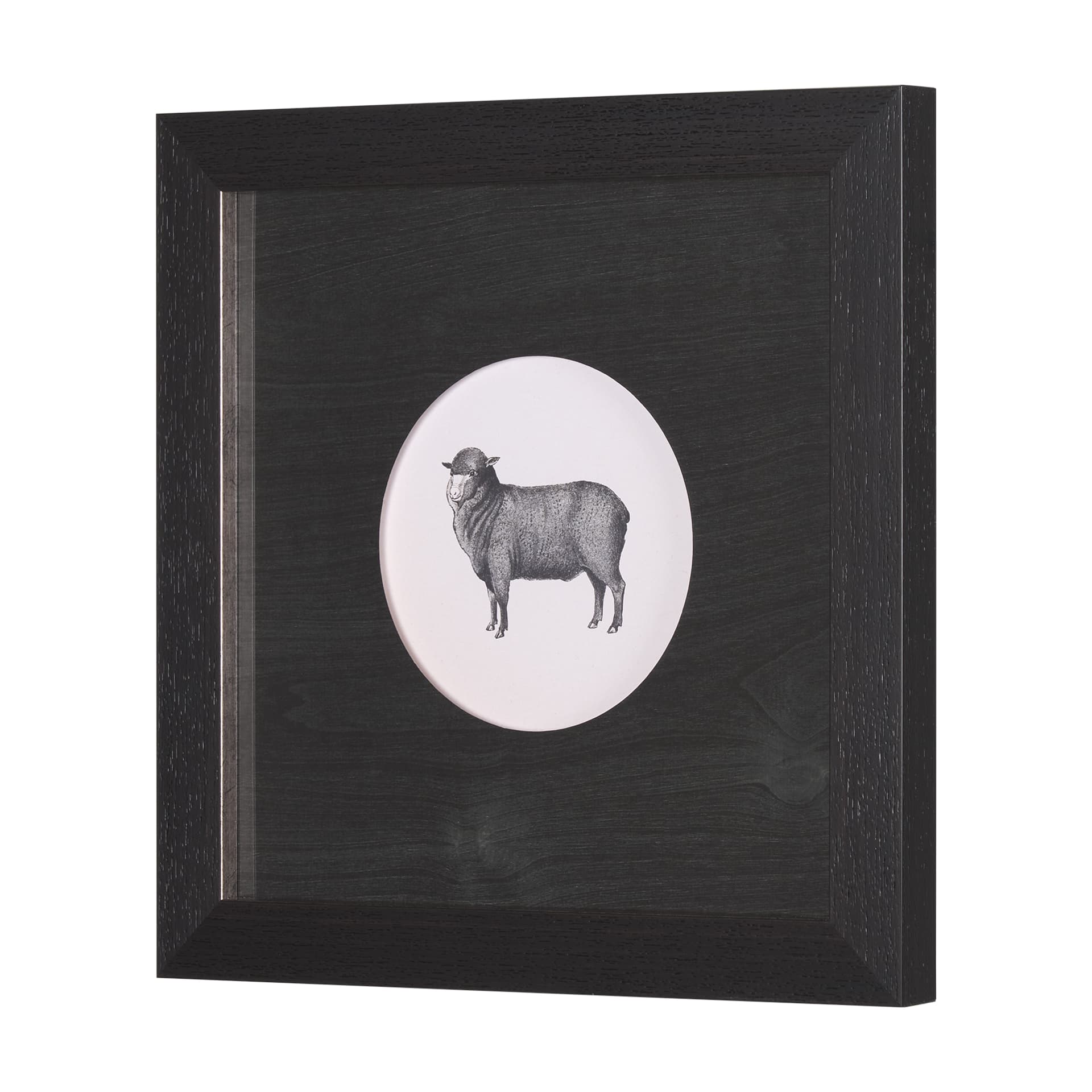 Down On The Farm II by Wild Apple Portfolio a Framed Art Print Matted under Glass — product photograph
