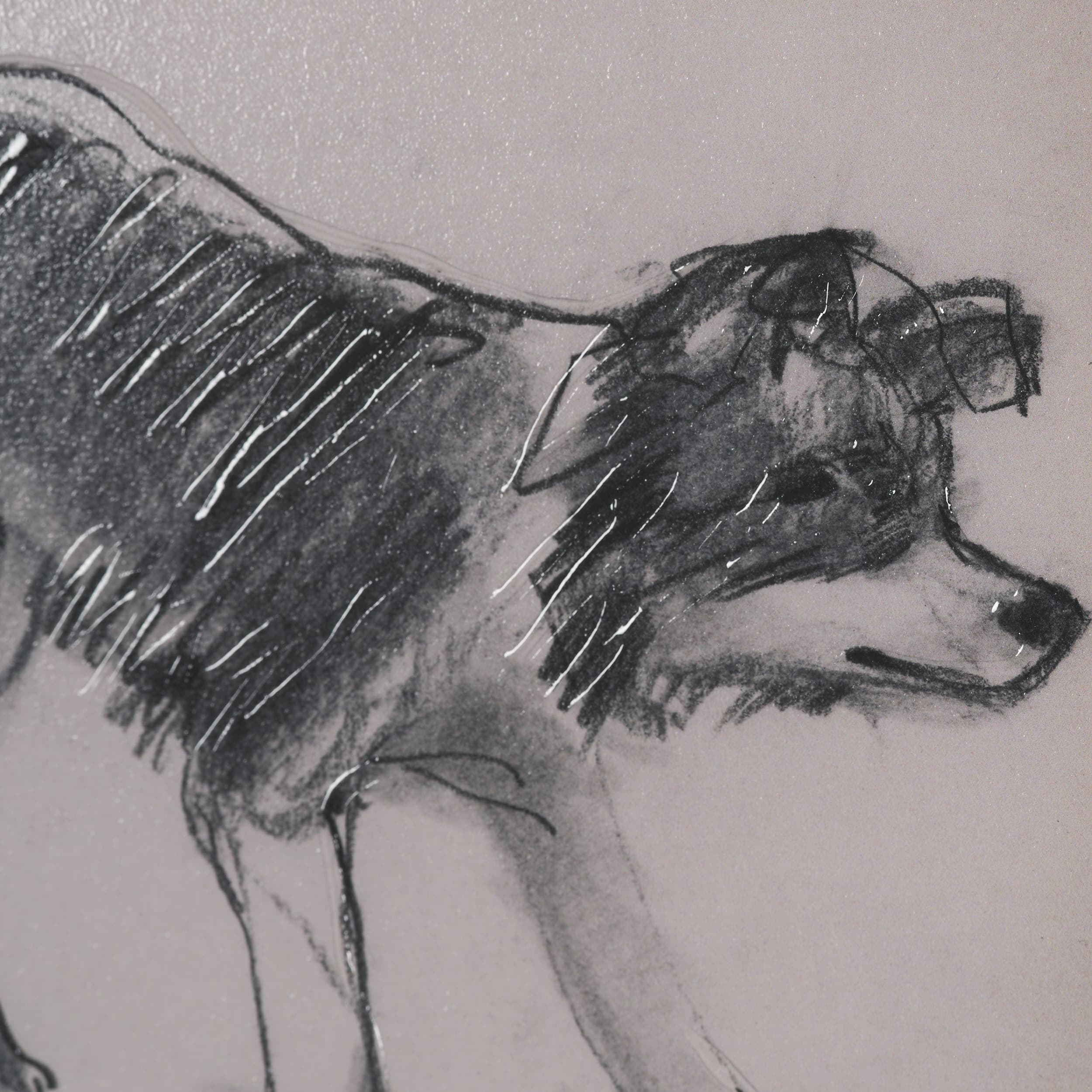Border Collie by Mercana Studio Hand-Embellished Framed Artwork Matted under Glass — product photograph