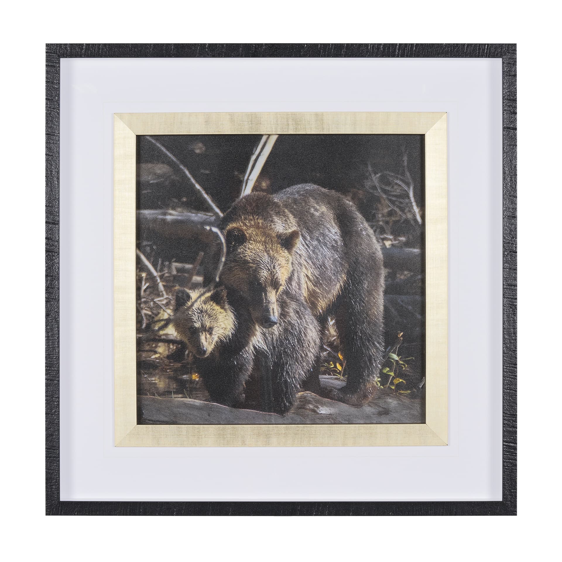 Mom and Cub by Chad Mackay a Hand Embellished Textured Framed Photo Art Print Matted under Glass — product photograph