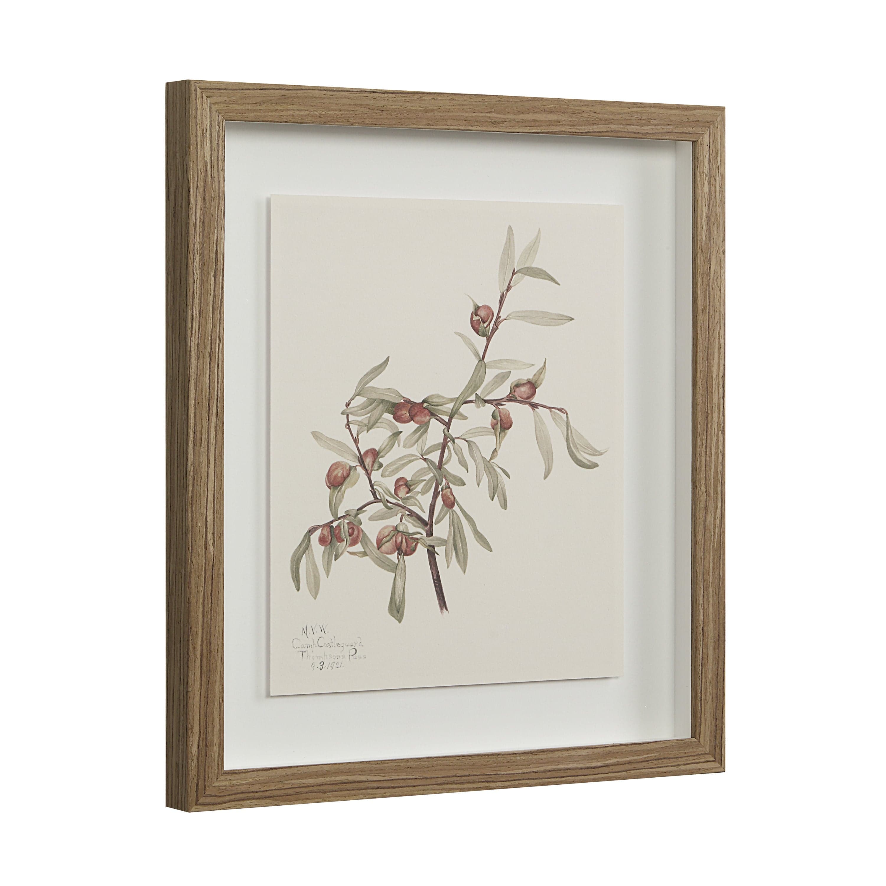 Crema — product photograph