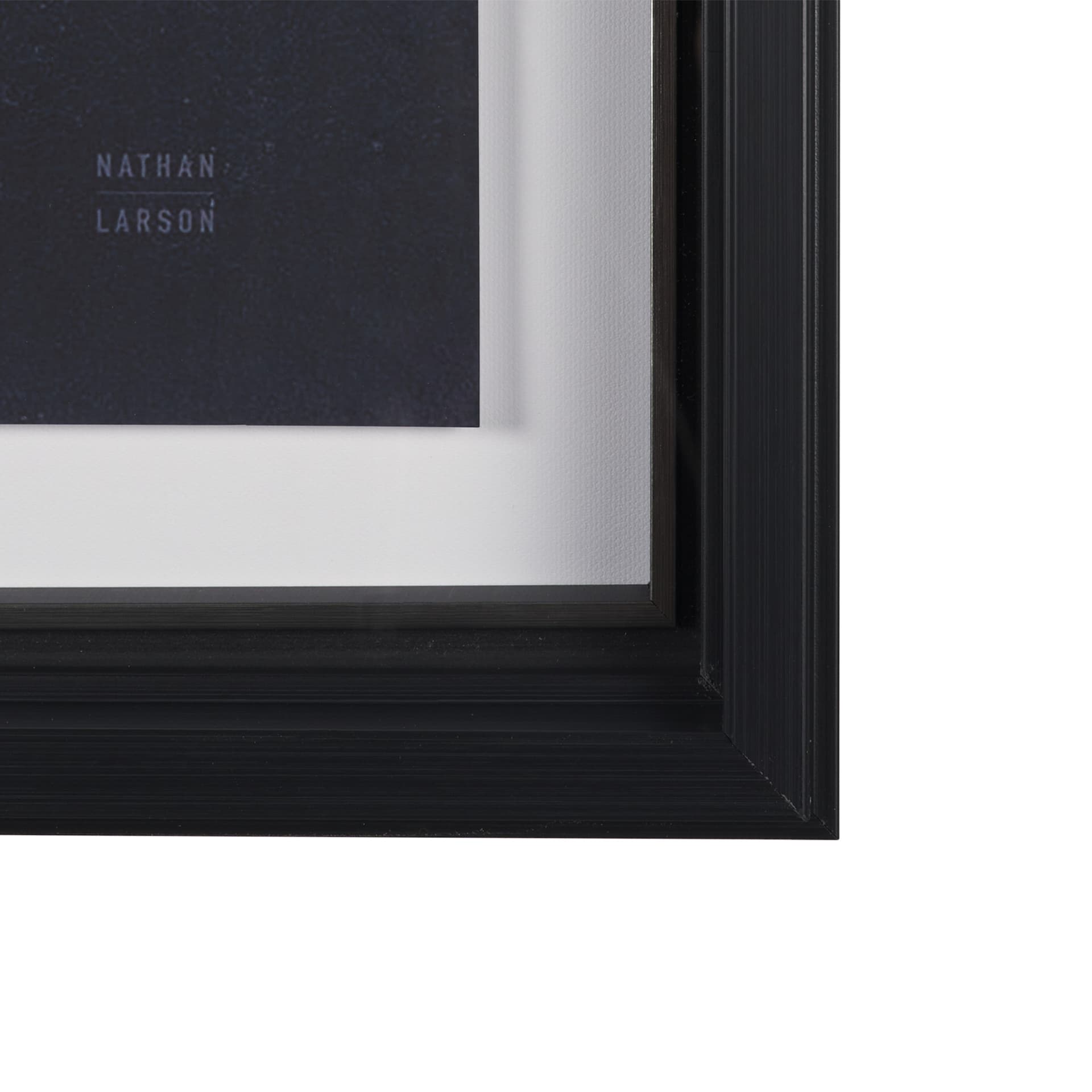 Urchin Still Life IV by Nathan Larson a Hand Embellished Framed Photo Art Print Matted under Glass — product photograph