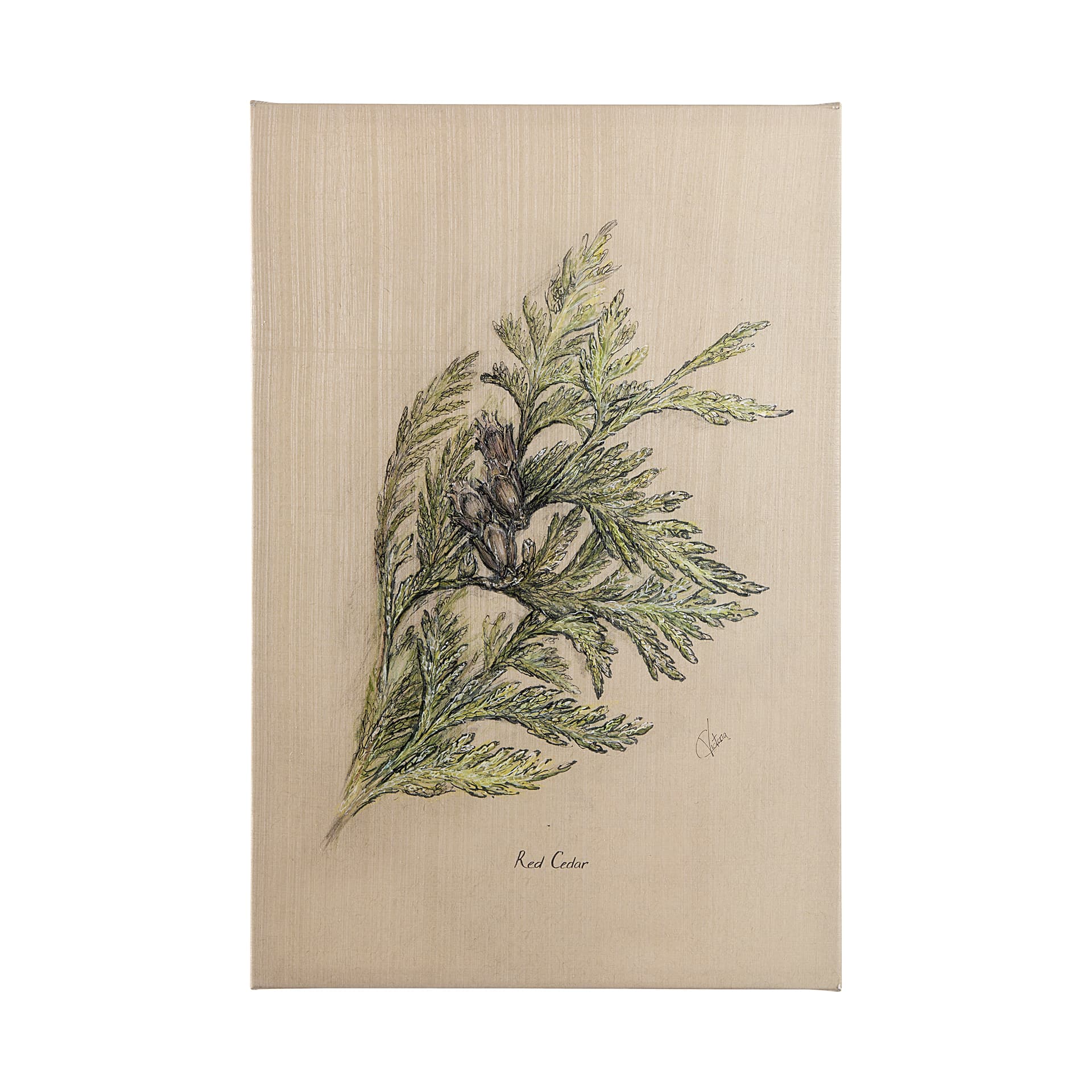 Evergreen collection III by Victoria a Hand Embellished Textured Canvas — product photograph