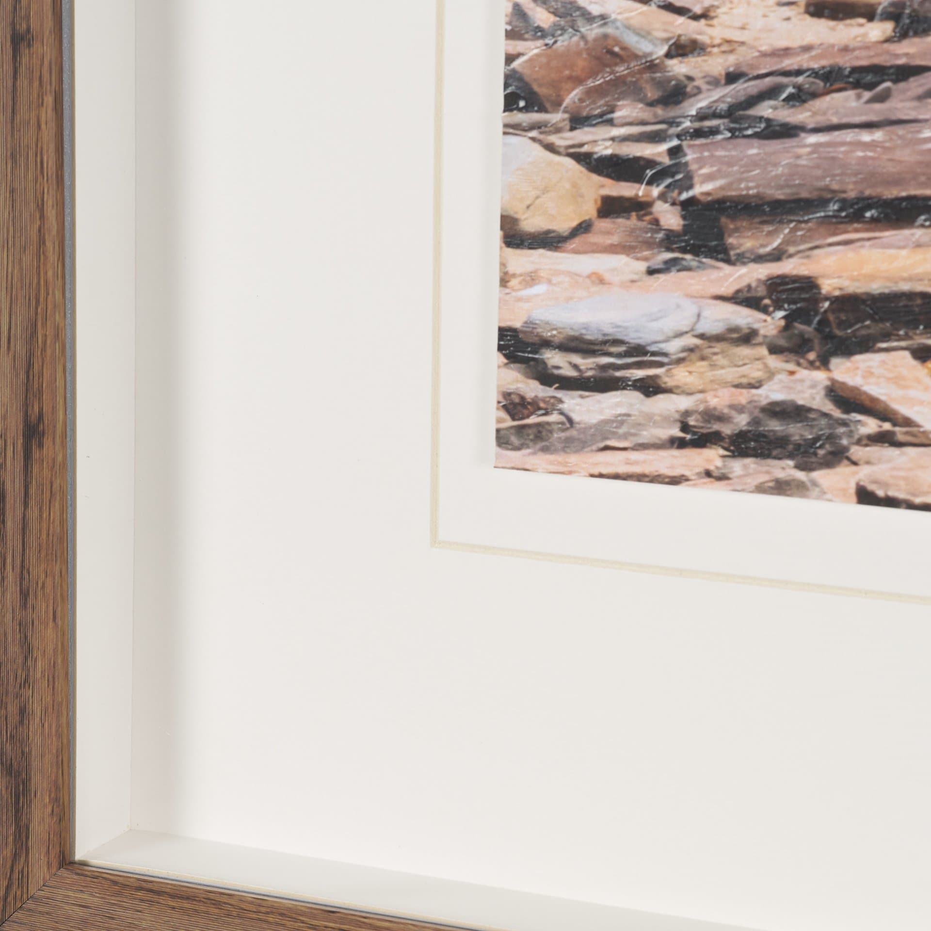 Namibia Tree in Desert by Richard Silver Textured Framed Photo Print Matted under Glass — product photograph
