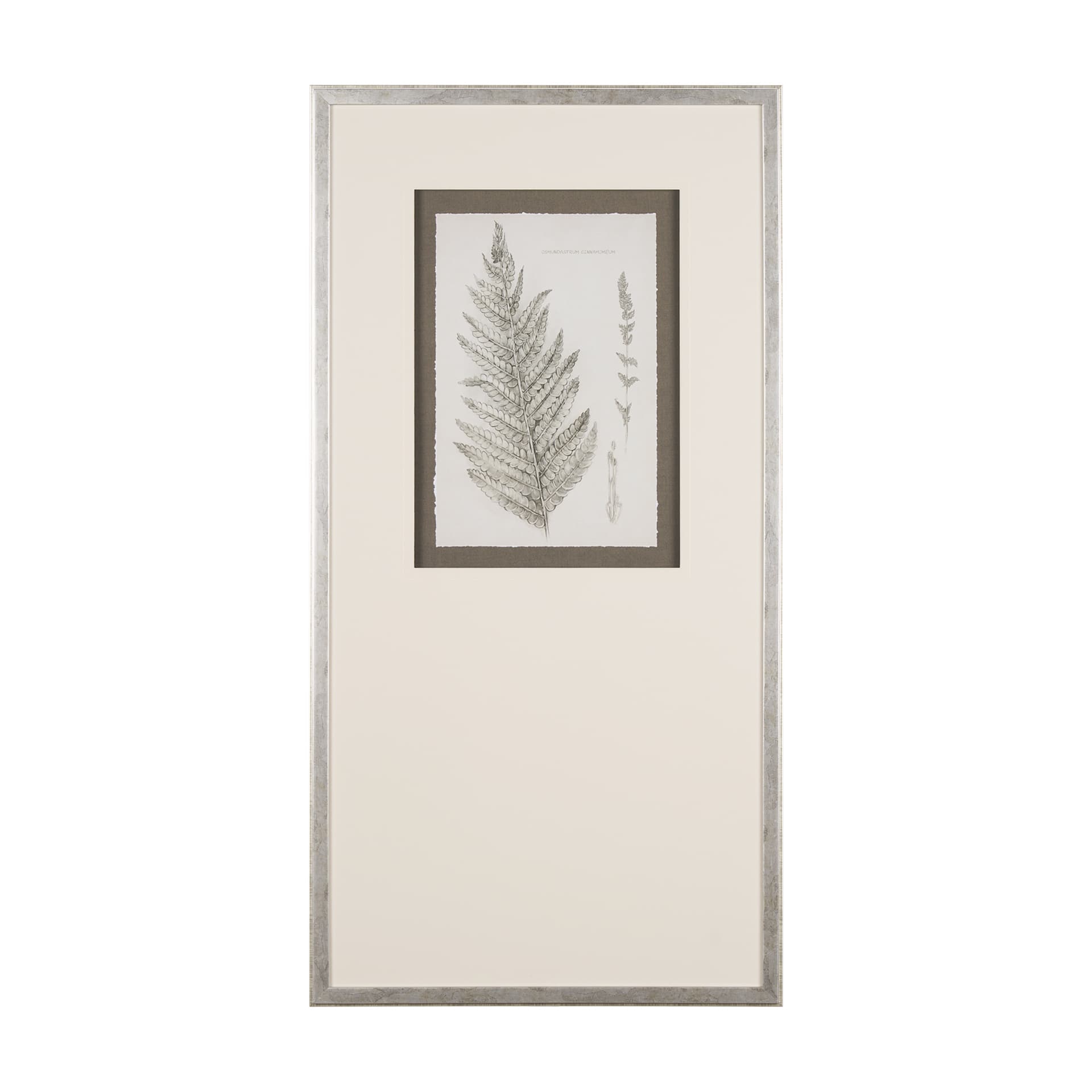Fern Study I by Mercana Studio Hand Embelished Framed Art Print Matted under Glass — product photograph
