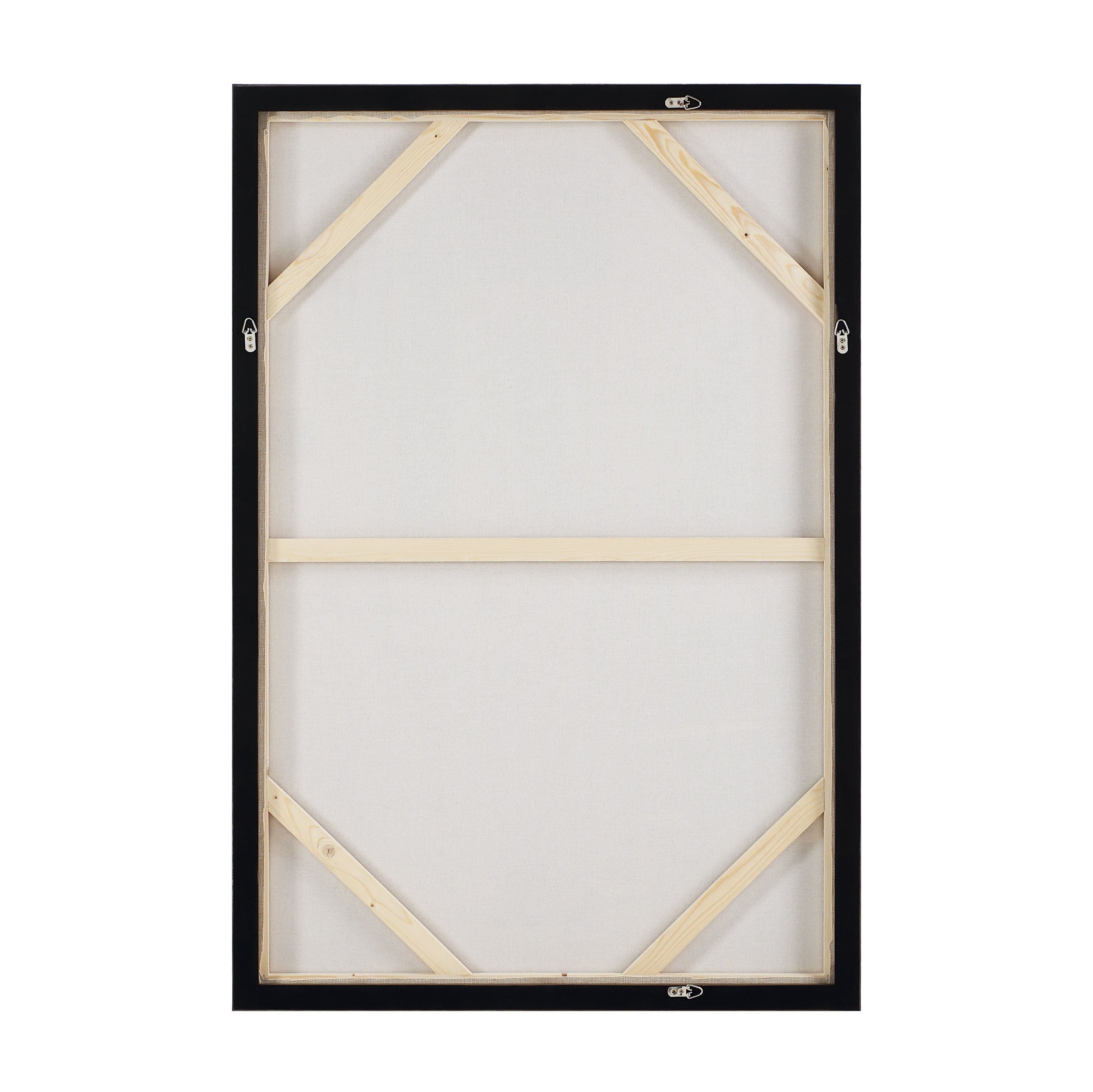 Iberis — product photograph