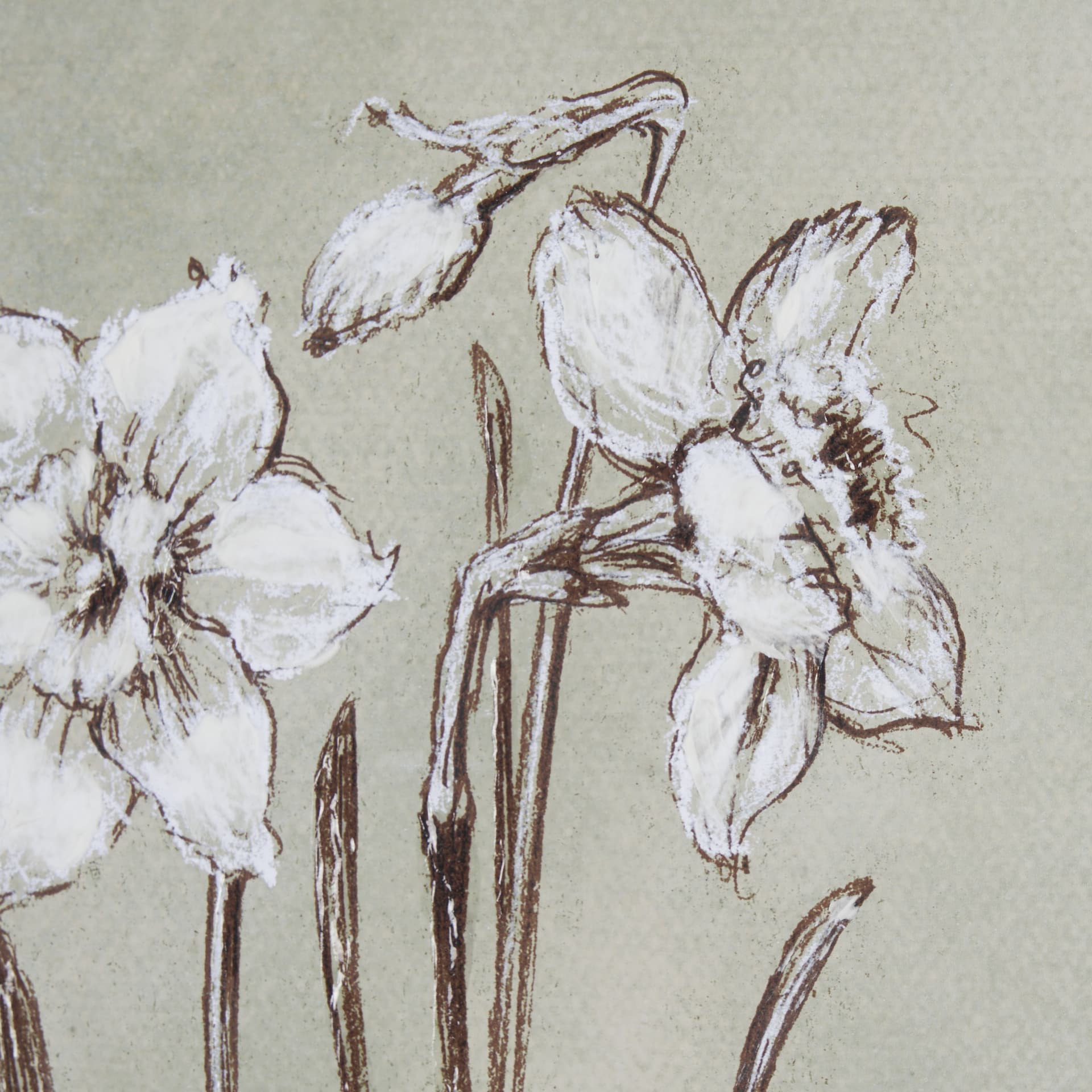 Botanical Sketch I (green) by Mercana Studio Hand Embellished Framed Art Print Matted under Glass — product photograph