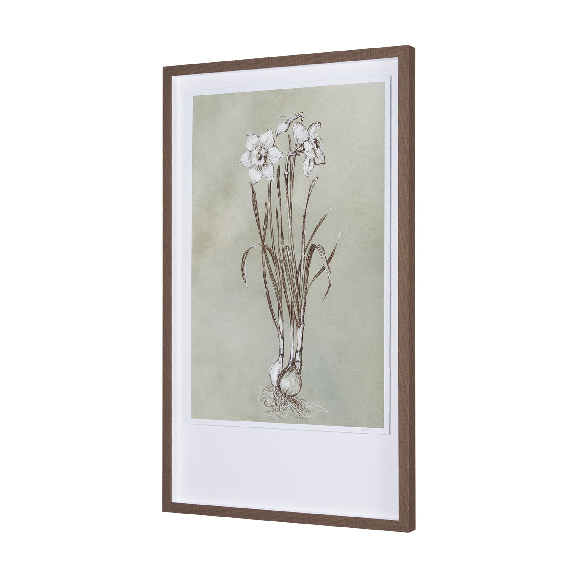 Botanical Sketch II (green) by Mercana Studio Hand Embellished Framed Art Print Matted under Glass — product photograph
