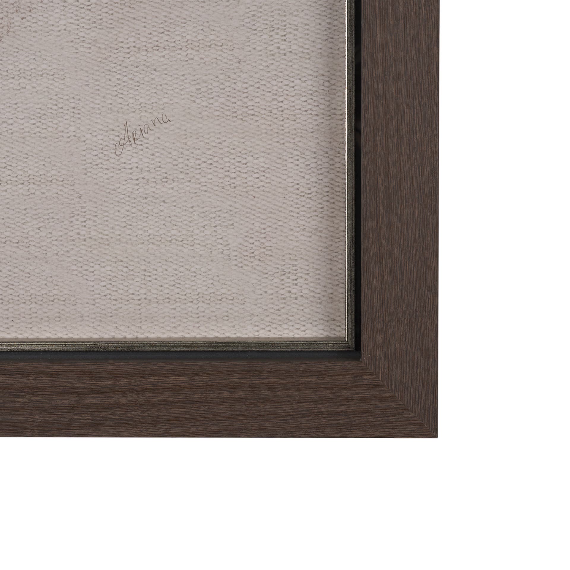 Portrait of a Thoroughbred II by Mercana Studio a Framed Art Print Matted under Glass — product photograph