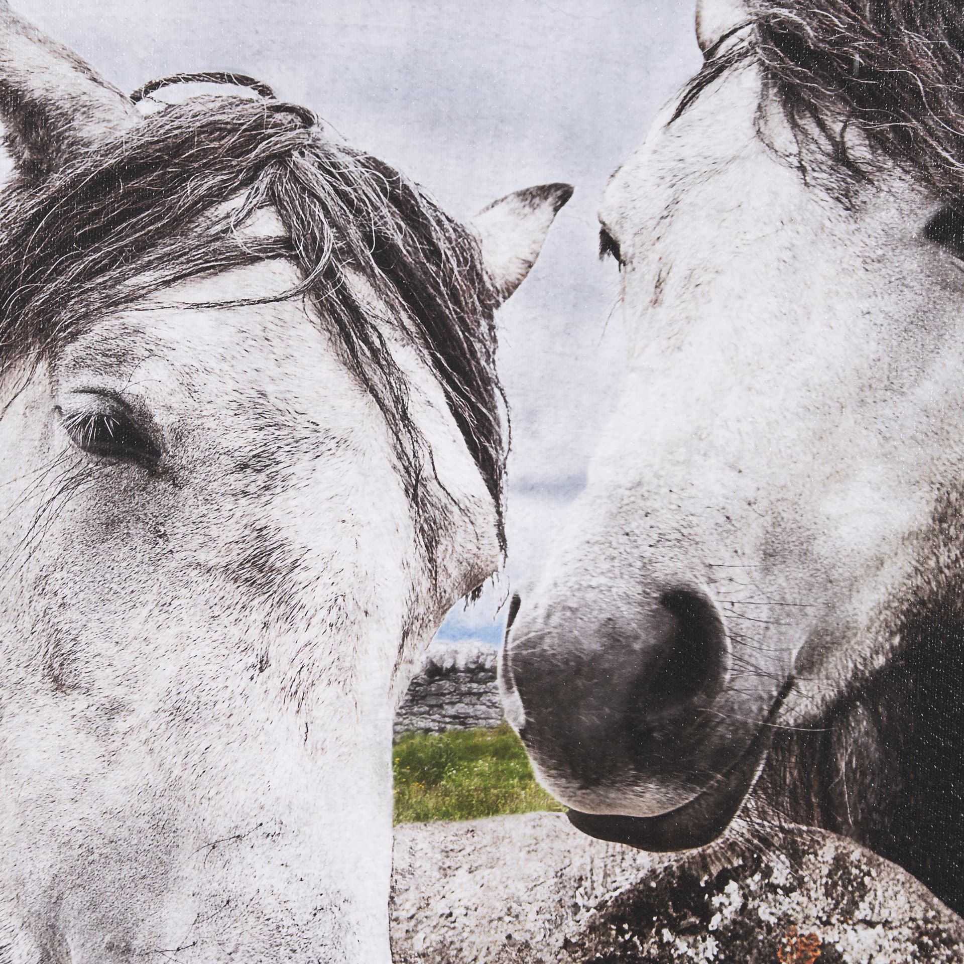 Just Let Me Scratch by Arabella Studios a Hand Embellished Textured Framed Photo Art Print — product photograph