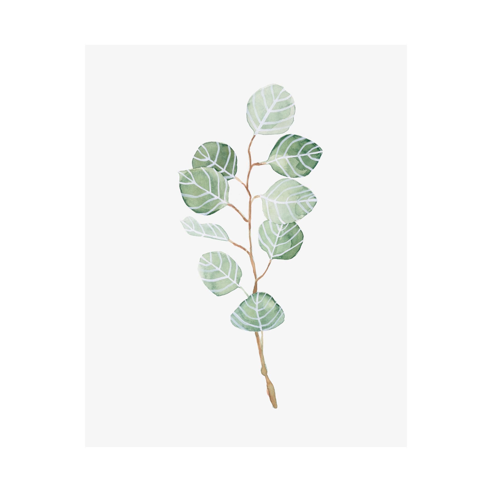 Soft Eucalyptus Branch III by Emma Scarvey a Hand Embellished Textured Canvas — product photograph