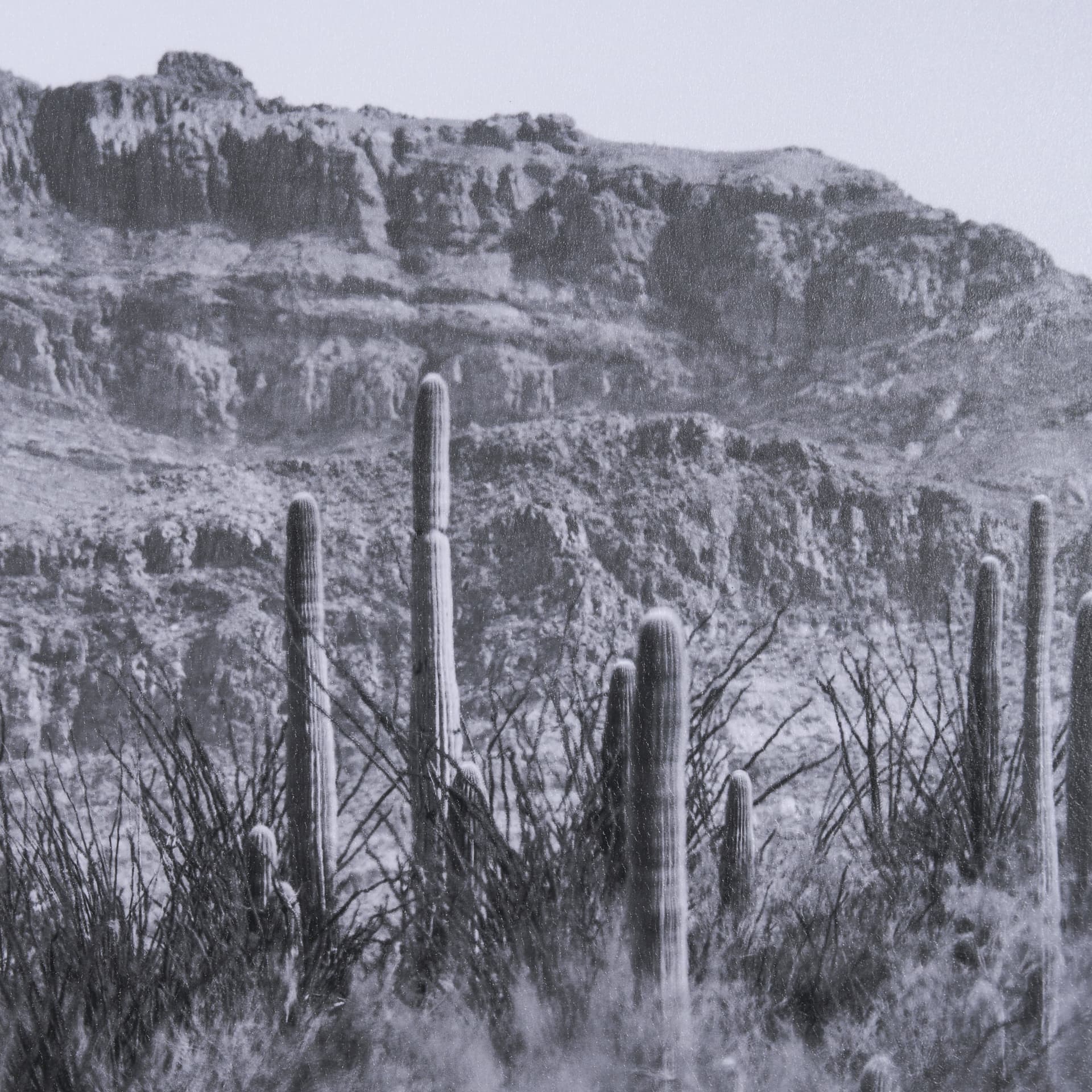 American Borderlands by Nathan Larson Hand Embelished Textured Framed Photo Art Print Matted under G — product photograph