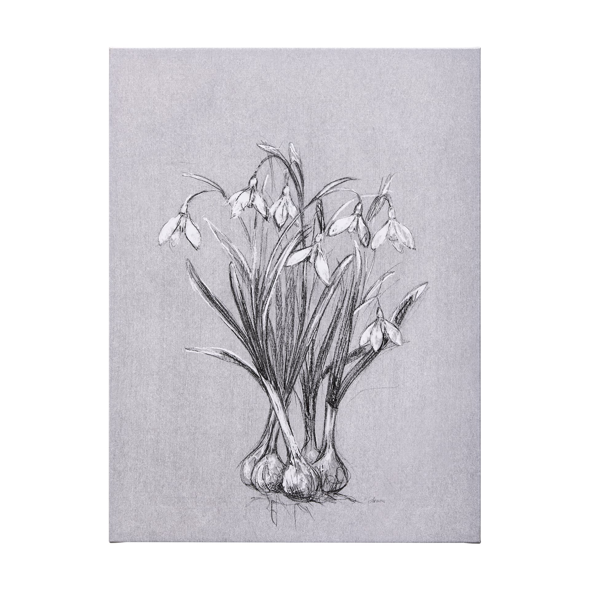 Botanical sketches VI (Grey) by Mercana Studio a Hand Embellished Textured Canvas — product photograph
