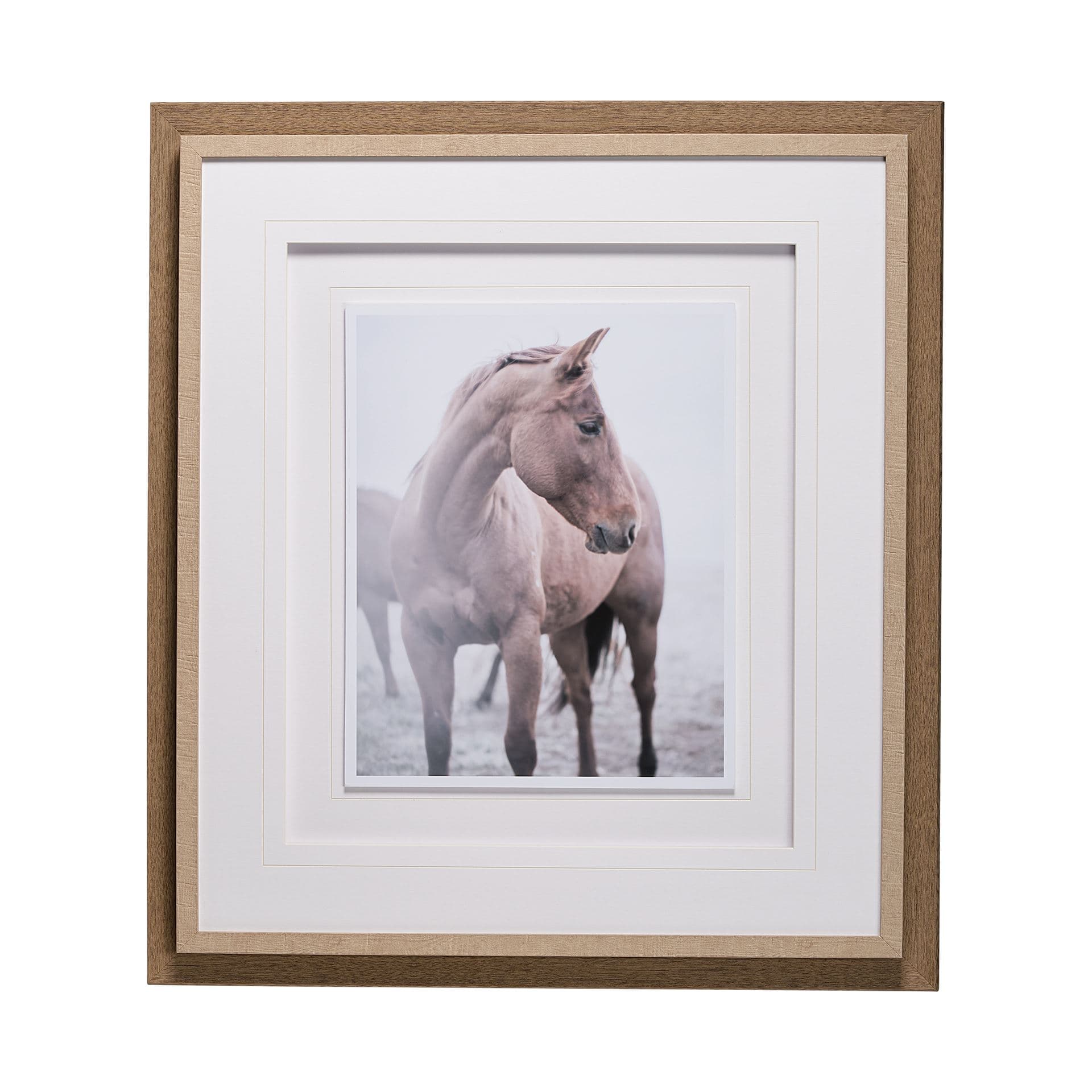 Horse 9 by Chris Dunker a Framed Photo Art Print Matted under Glass — product photograph