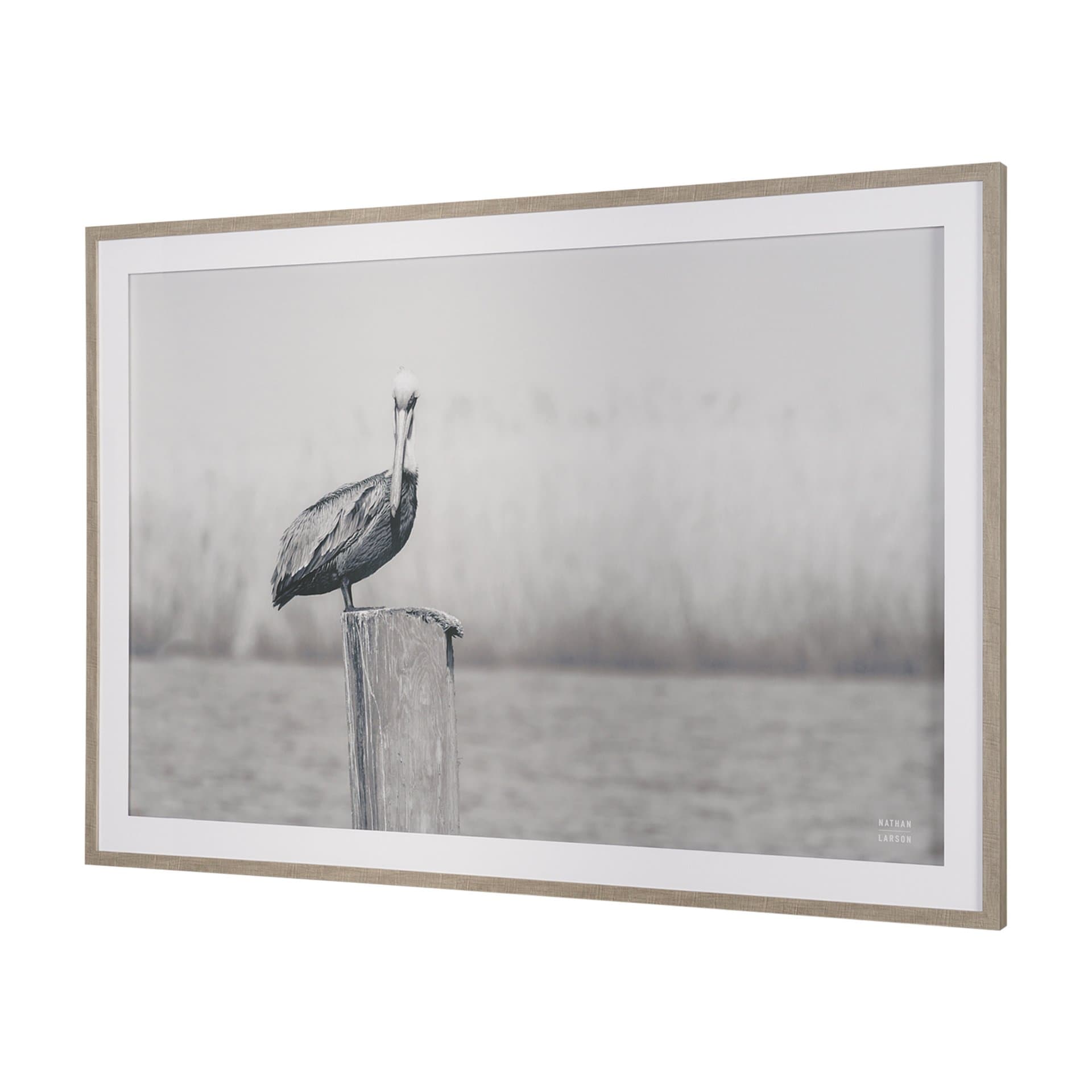 Pelican Stories by Nathan Larson Framed Art Print Matted under Glass — product photograph